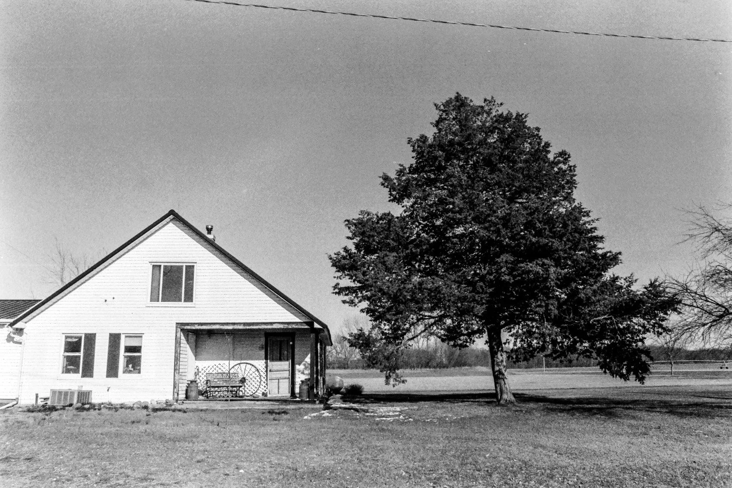 Film_-14.jpg