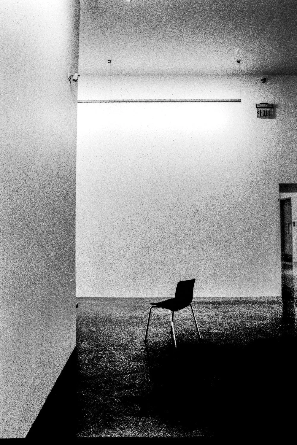 Film_-44.jpg