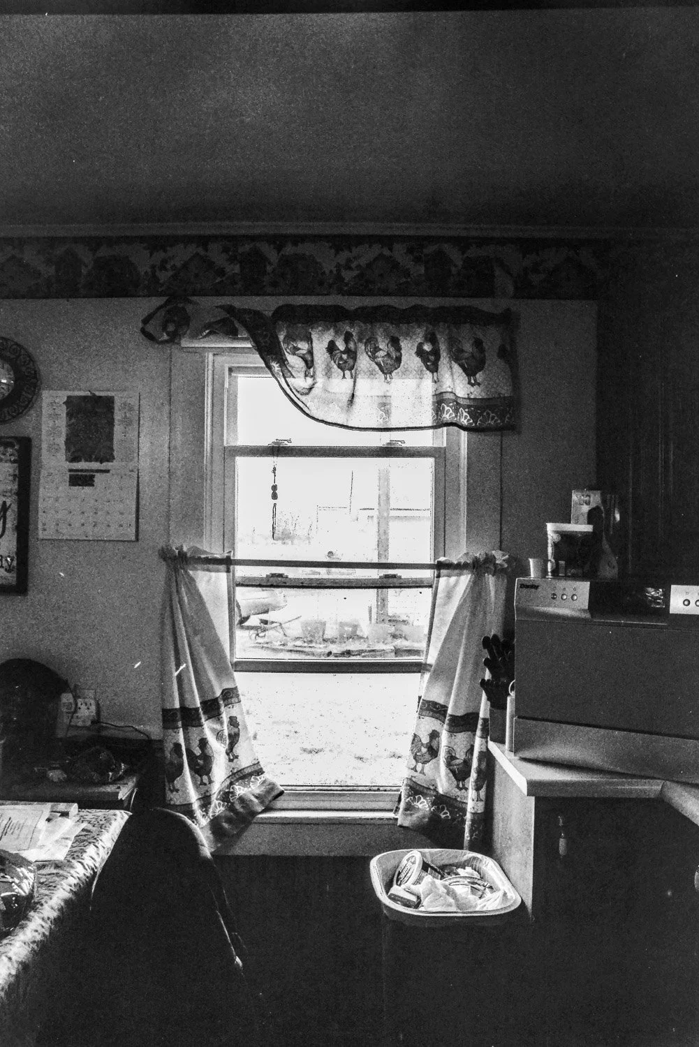 Film_-23.jpg