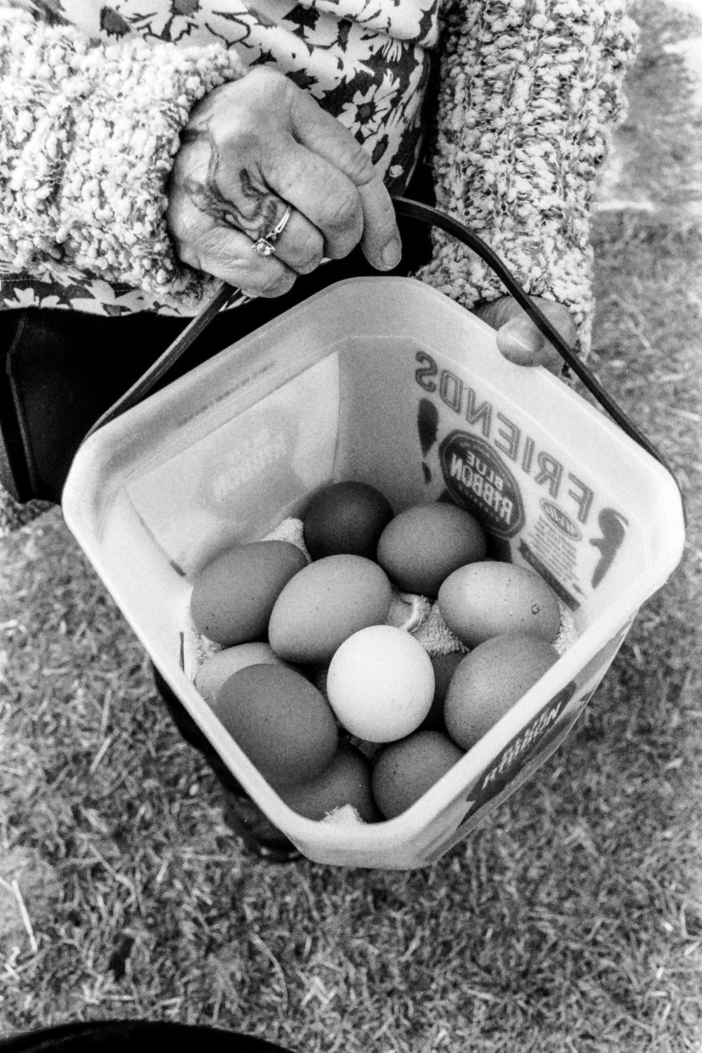 Film_-7.jpg