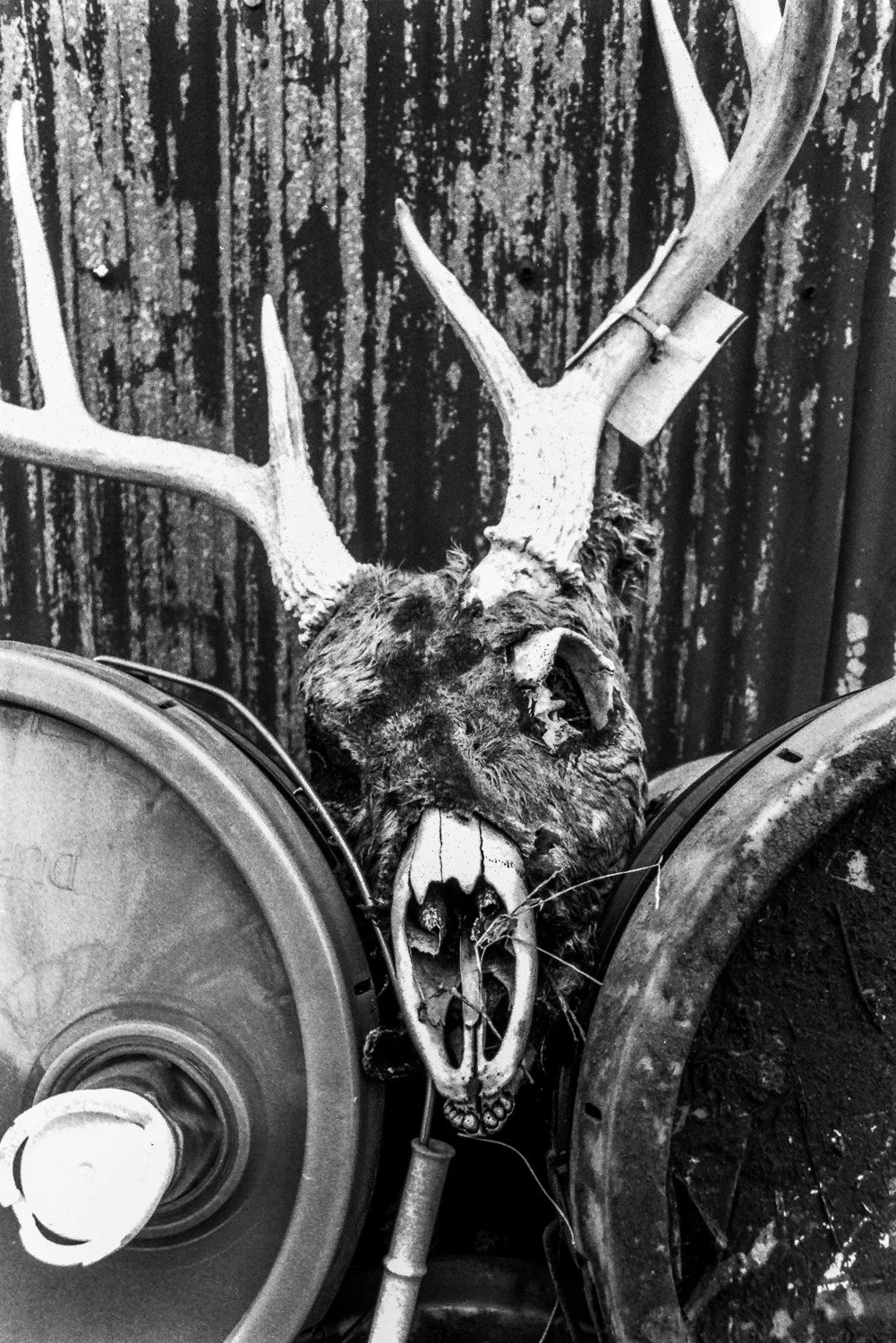 Film_-26.jpg