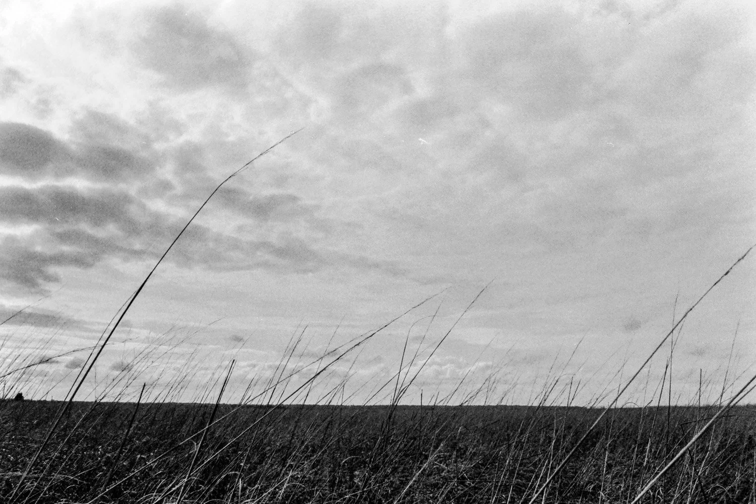 Film_-6.jpg