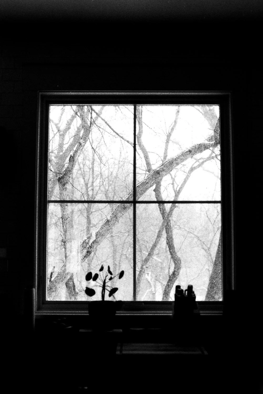 Film_-34.jpg