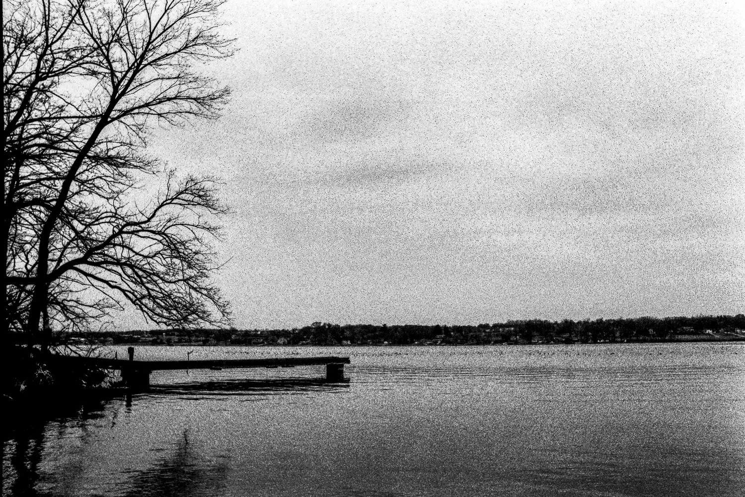 Film_-42.jpg
