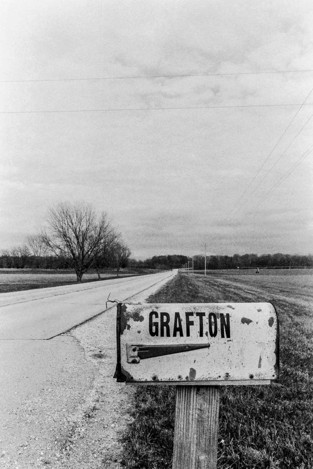 Film_-5.jpg