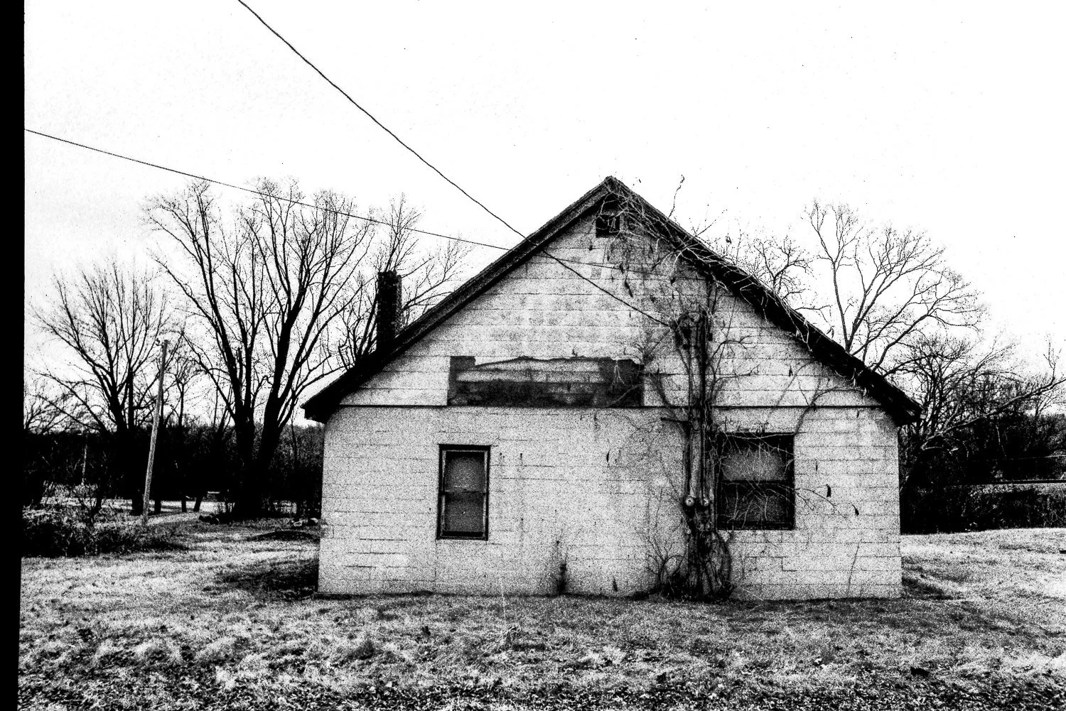 Film_-43.jpg