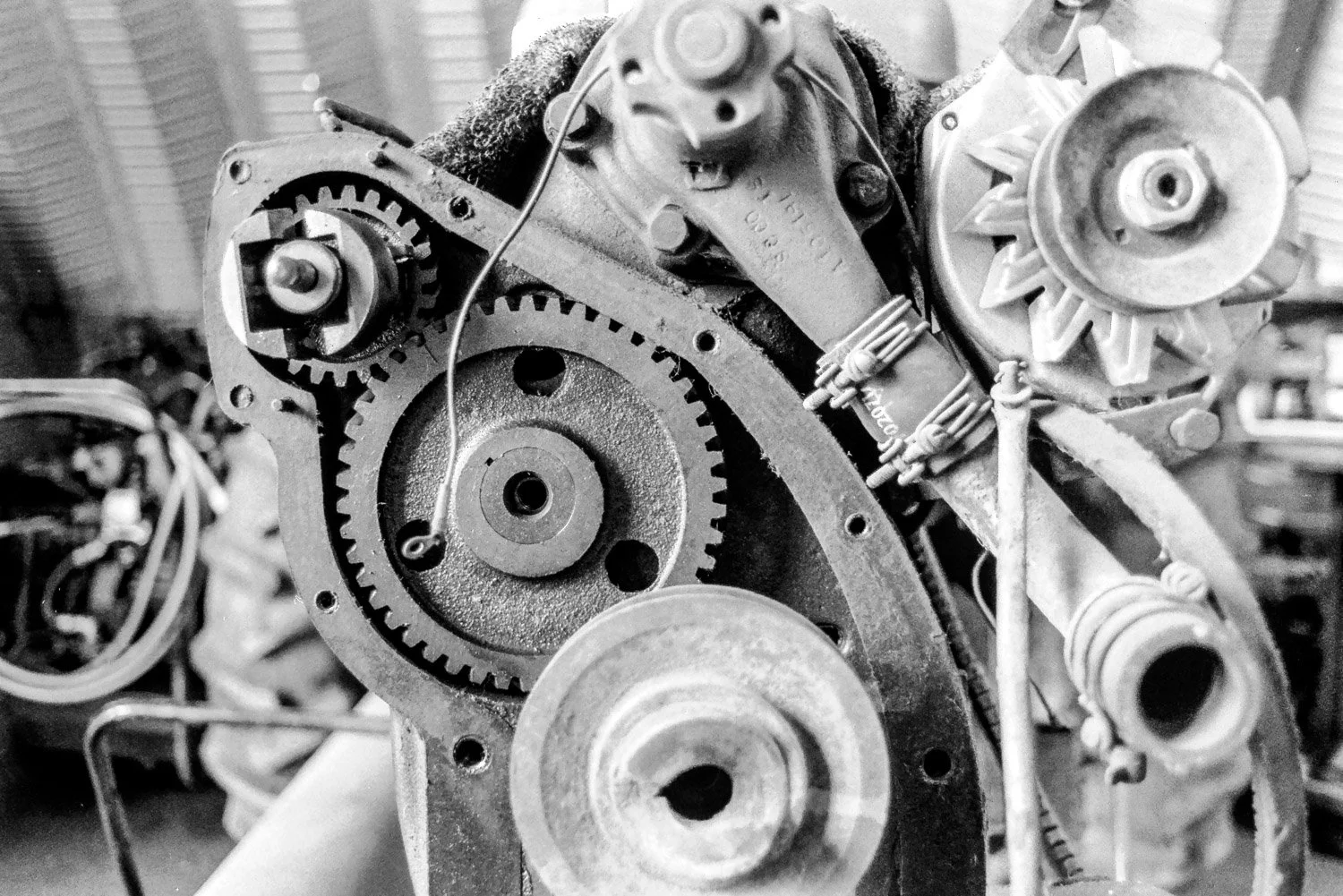 Film_-3.jpg