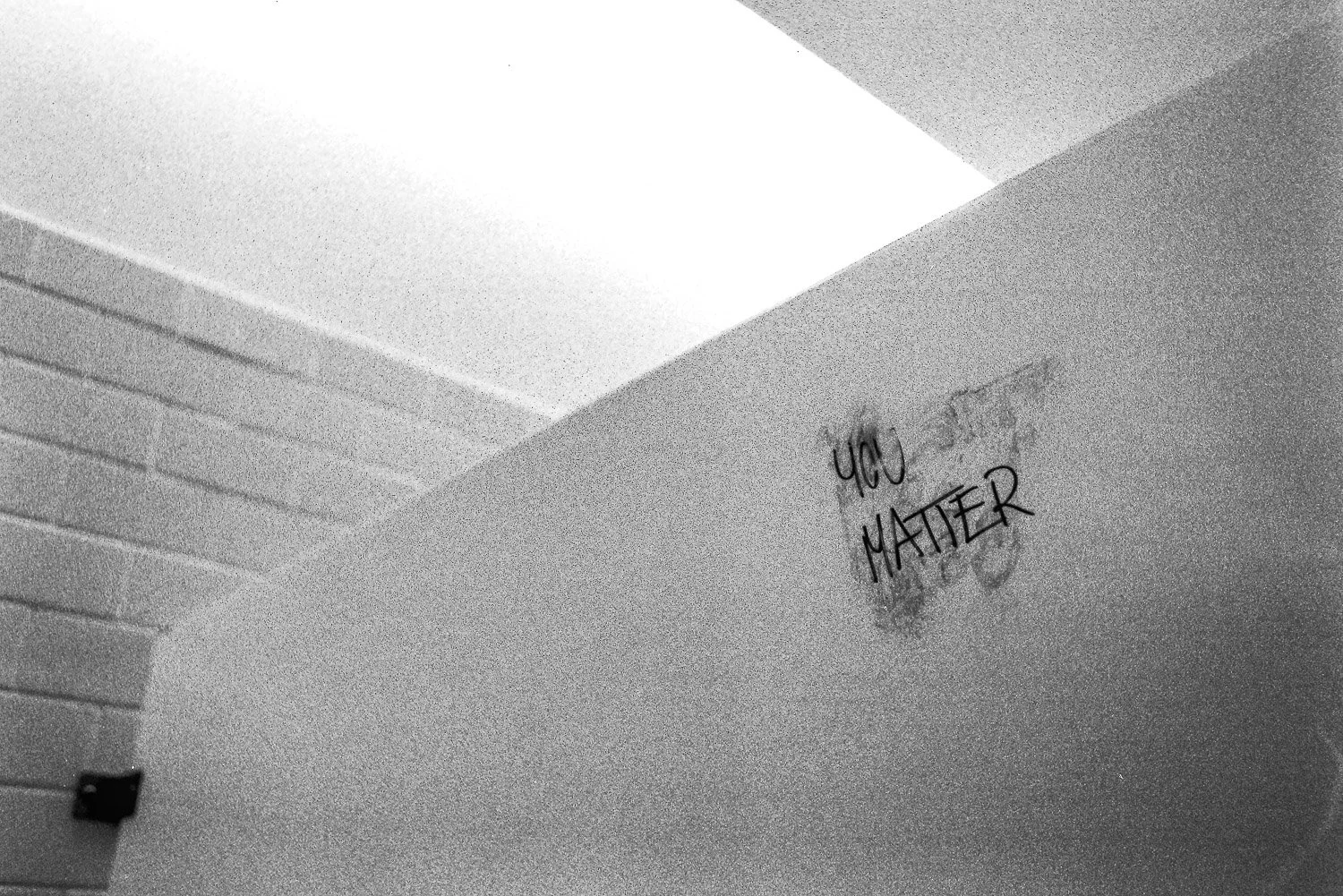Film_-47.jpg