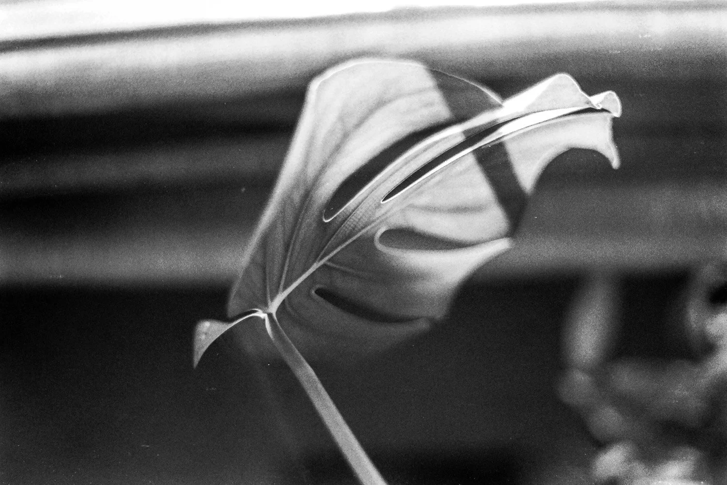 Film_-31.jpg