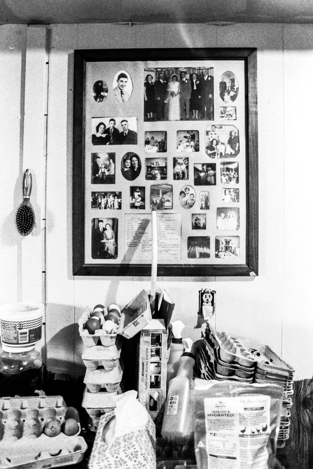 Film_-24.jpg