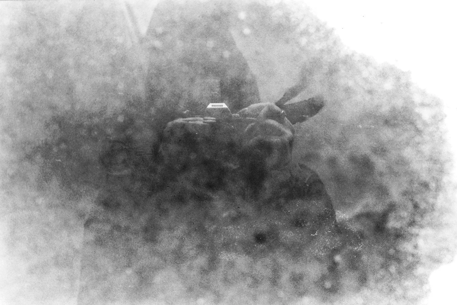 Film_-29.jpg