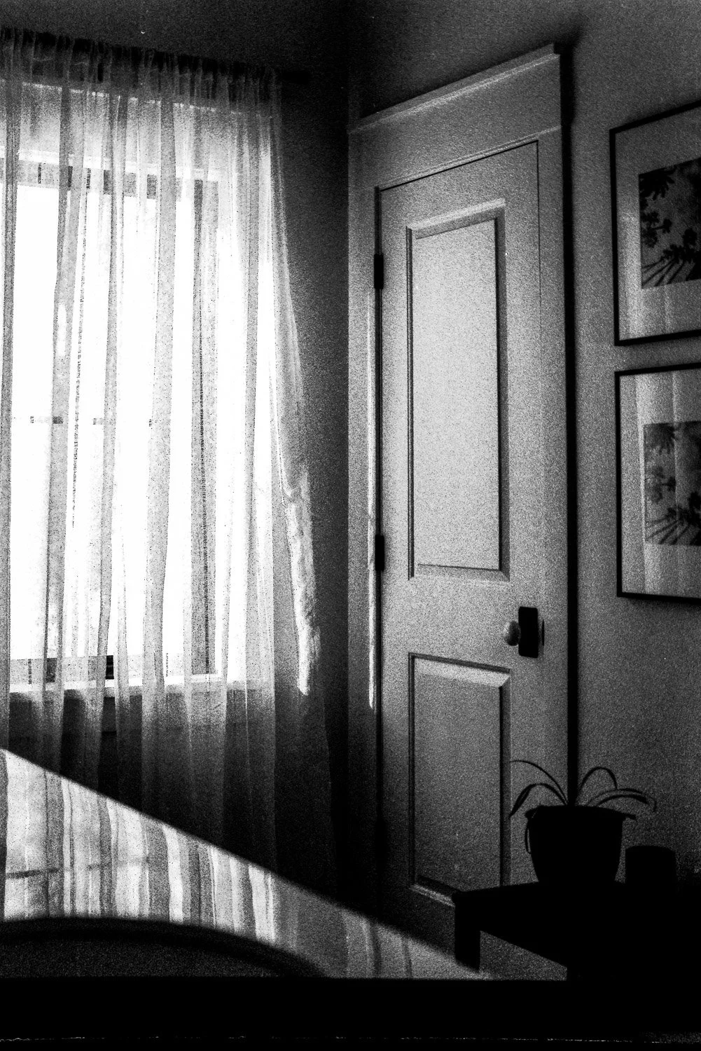 Film_-38.jpg