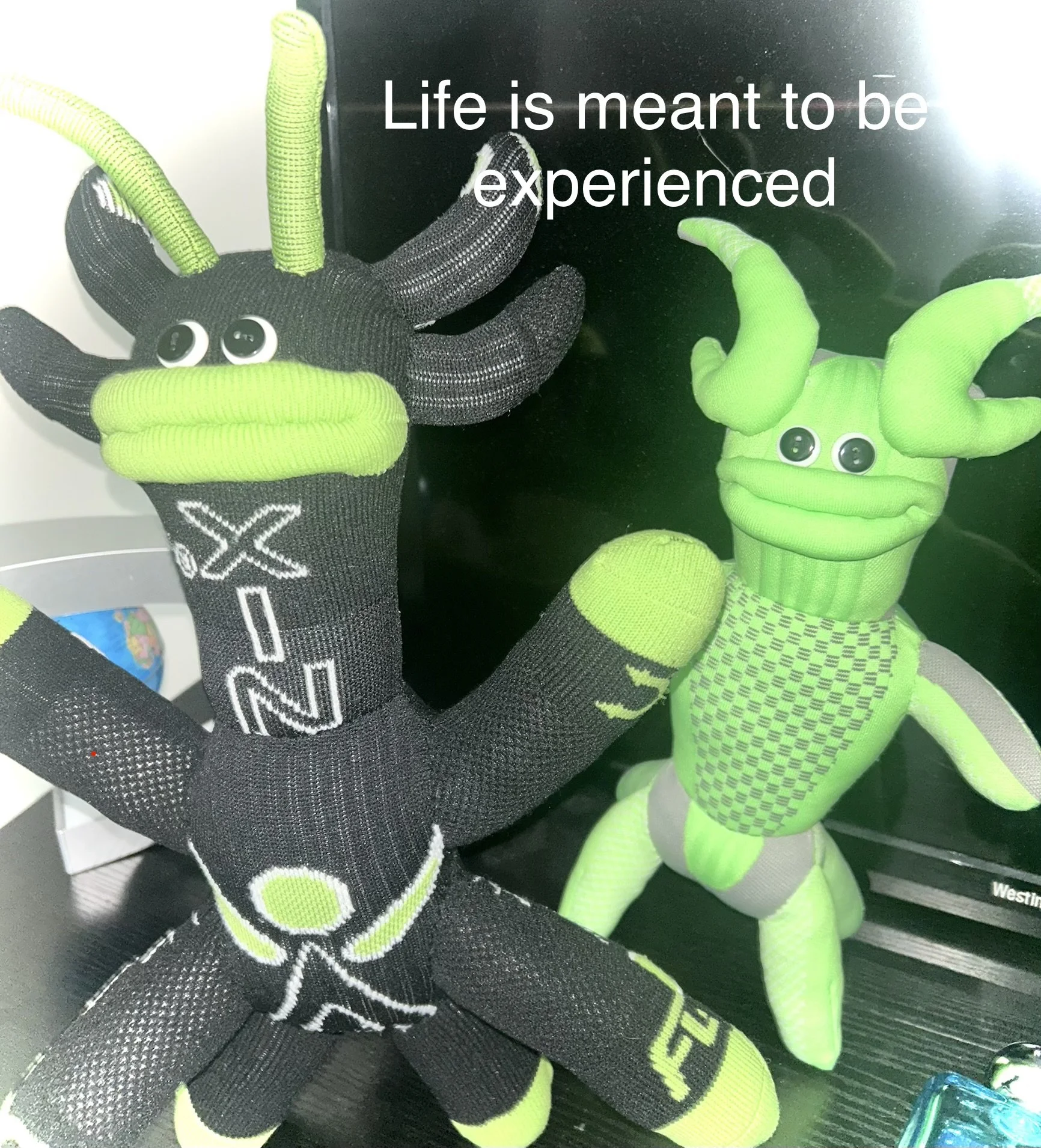 Odd Sock Friends