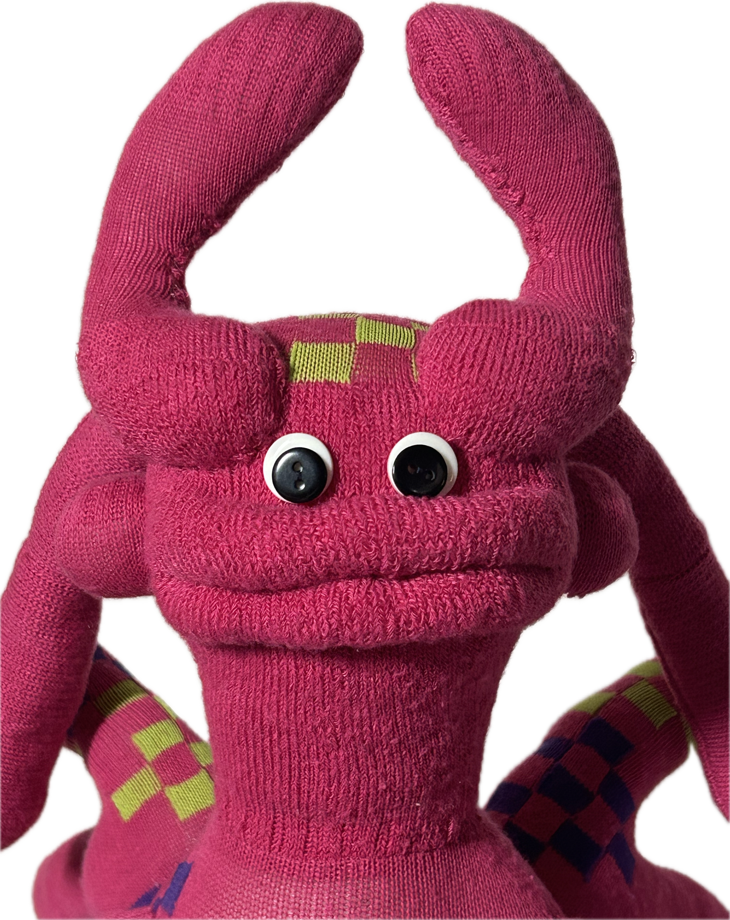 IMG_9196.png