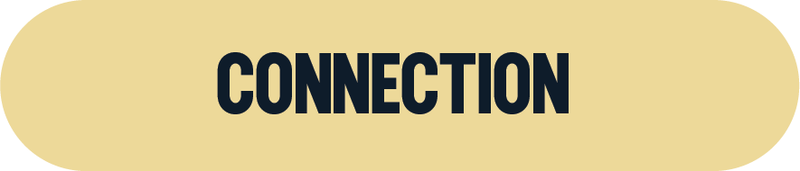 A beige rounded rectangle button with the word 'CONNECTION' in bold black capital letters.