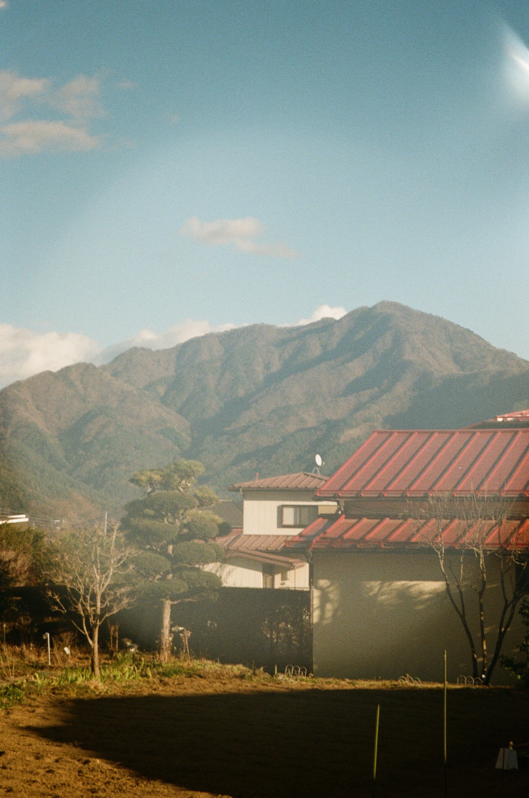 IMG_5486.jpeg