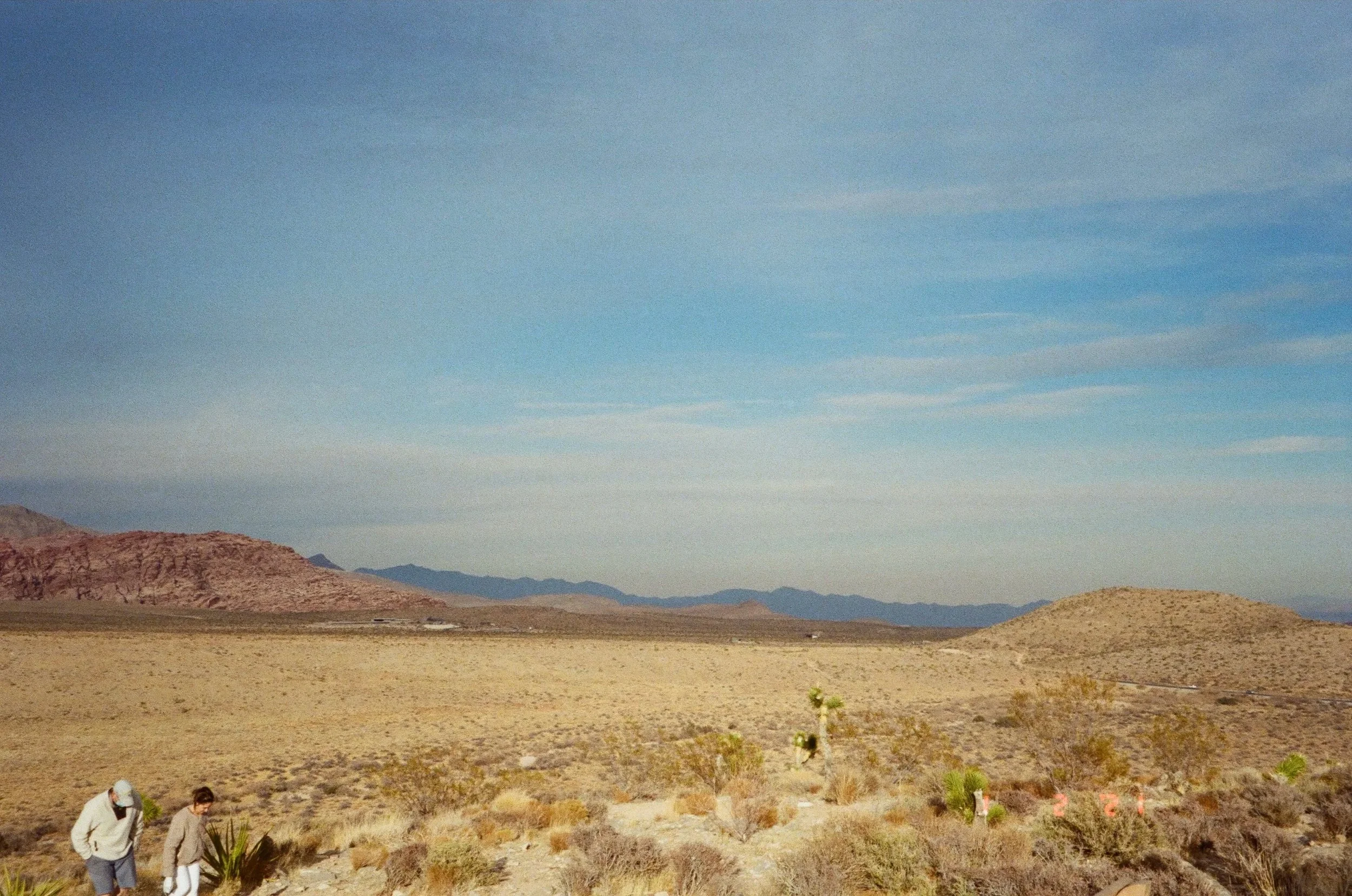 000116490019.jpg