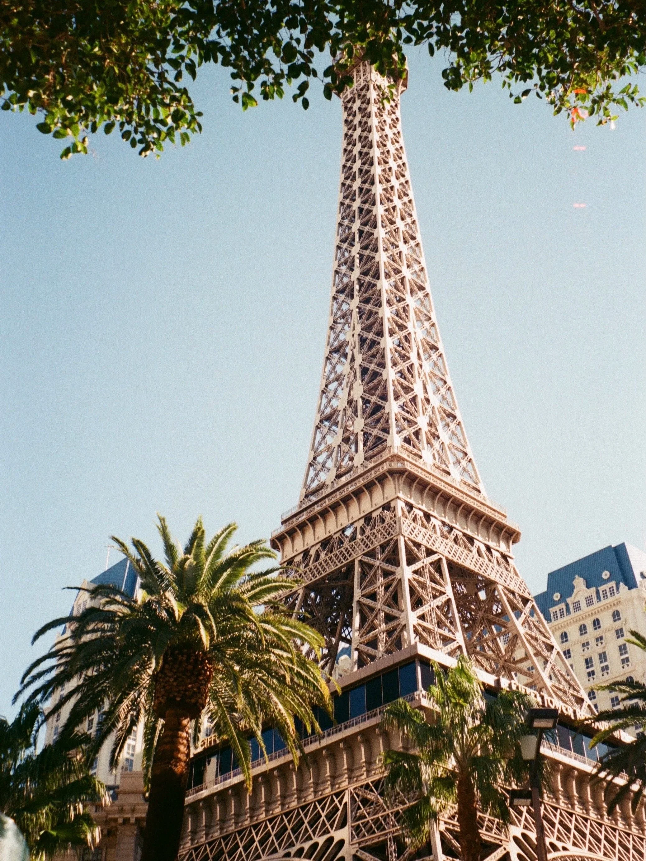 000116470007.jpg
