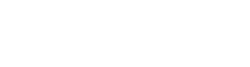 Logo with the words "Seritic Solutions" and a circular design with two arrows inside.