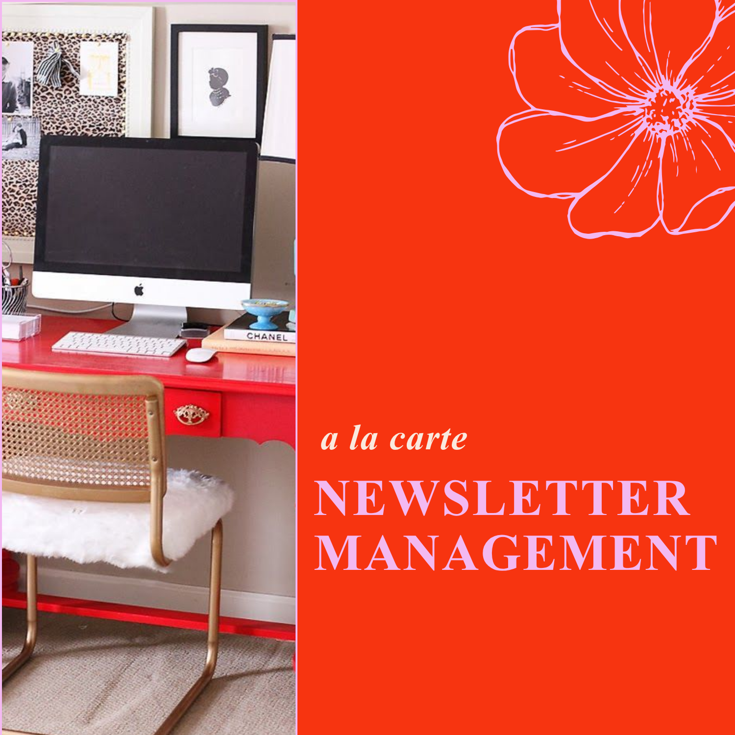 Newsletter Management