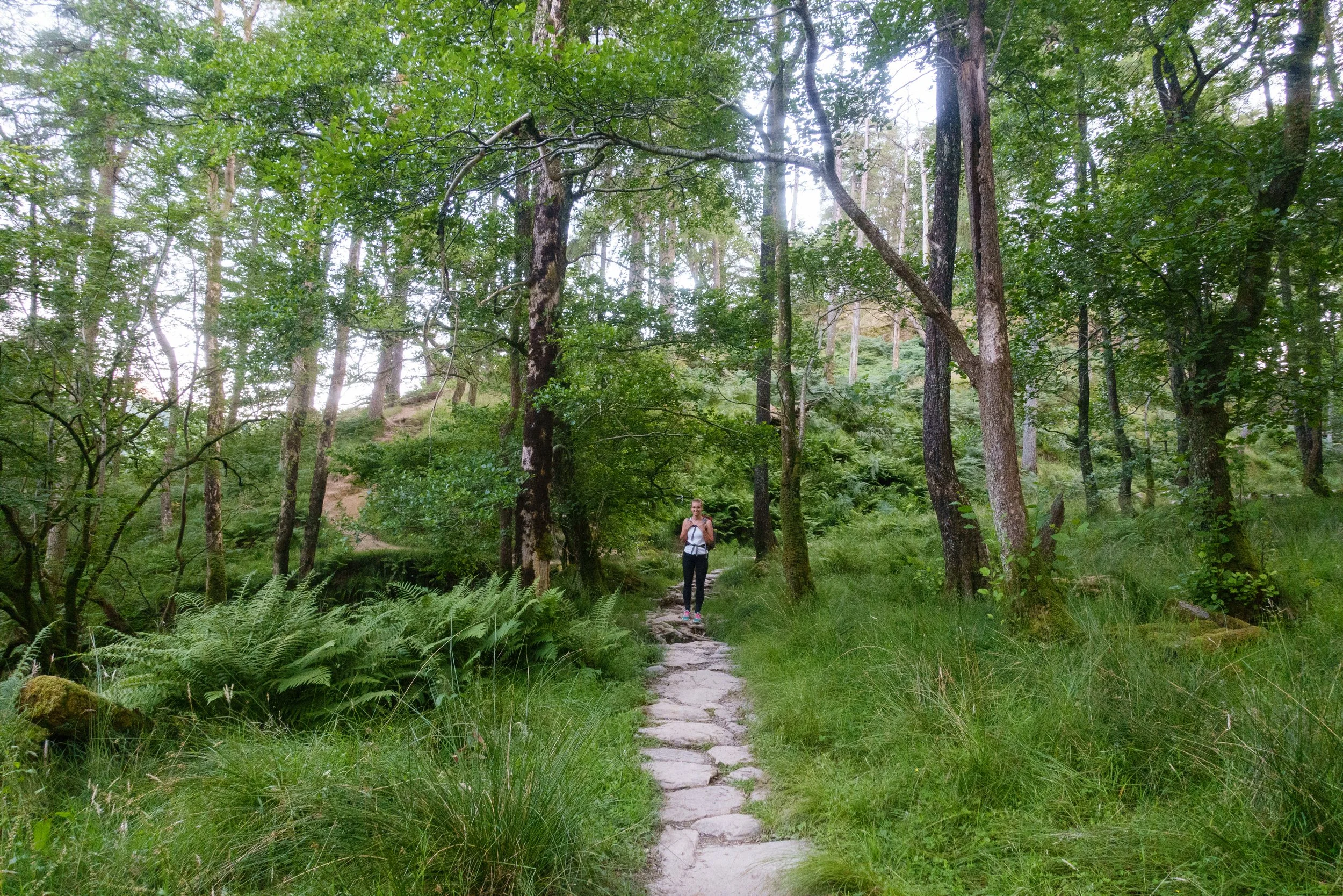 Path around Llyn Gwynant