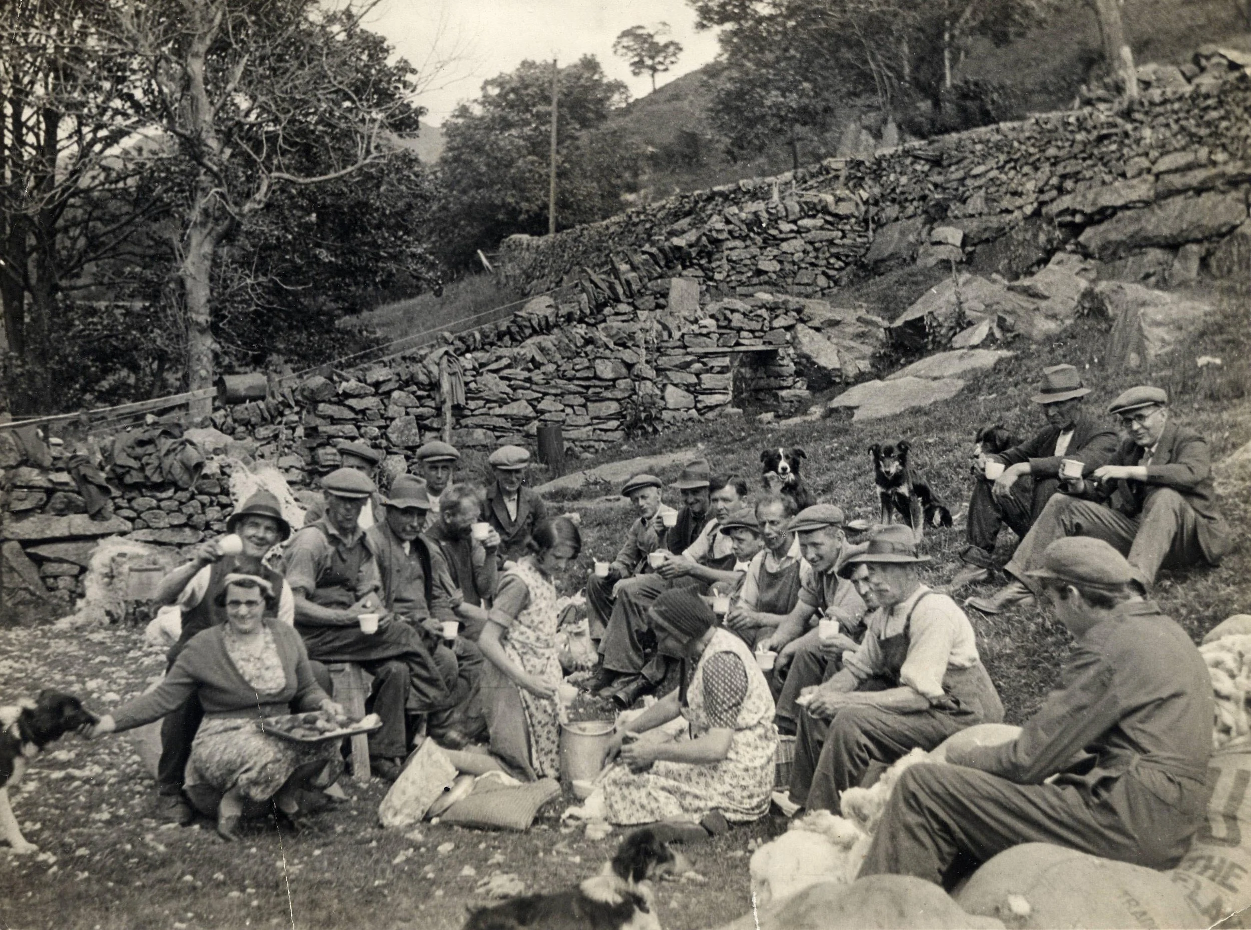 Sheep shearing at Haofd Lwyfog, late 1930s. Note the famous Welsh poet TH Parry Williams top right. Parry Williams was related to the Hughes family that rented the farm from Clough William-Ellis. He wrote much poetry while staying at Hafod Lwyfog far