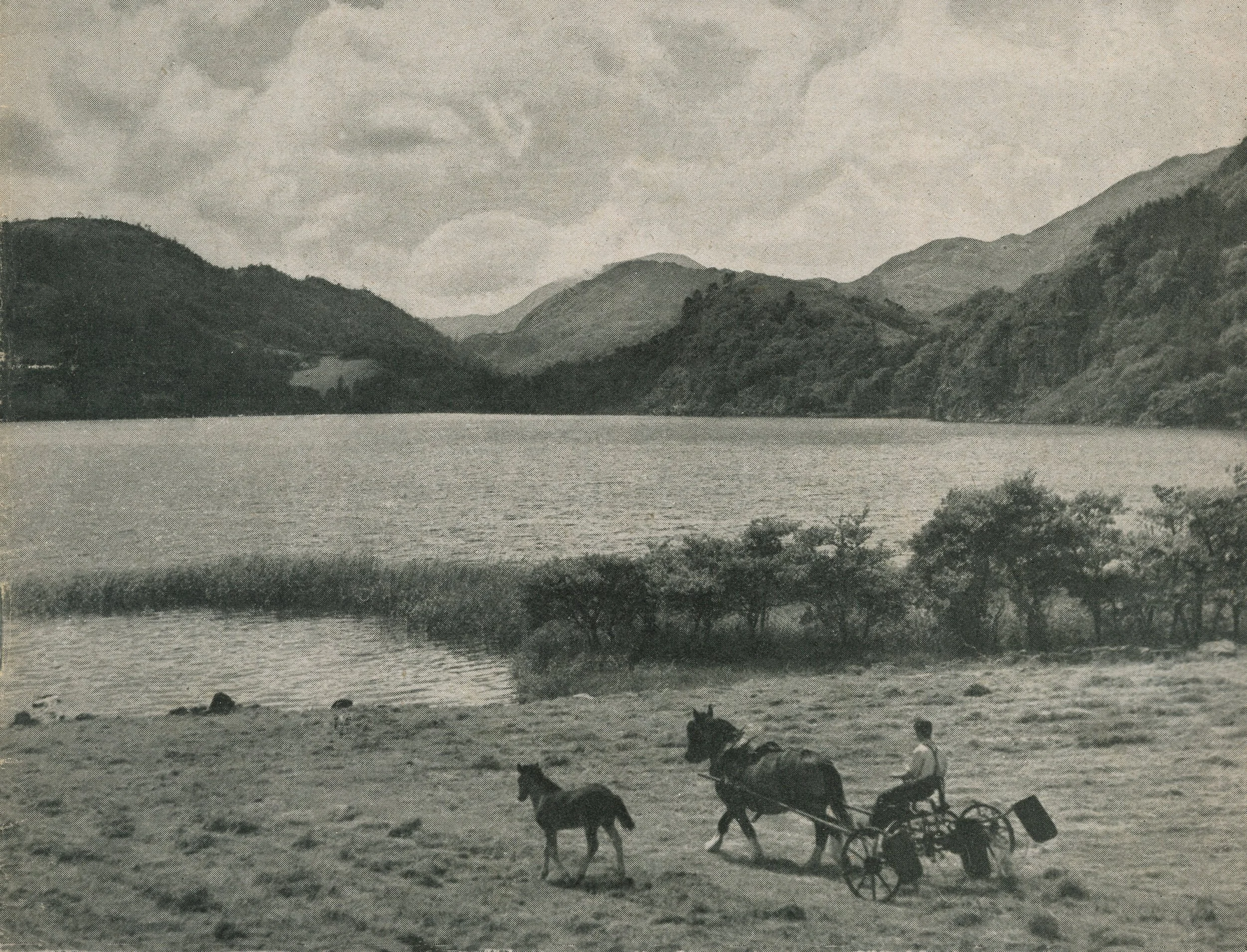 Horse and cart on lakeshore. Published in Lady magazine, June 1952.