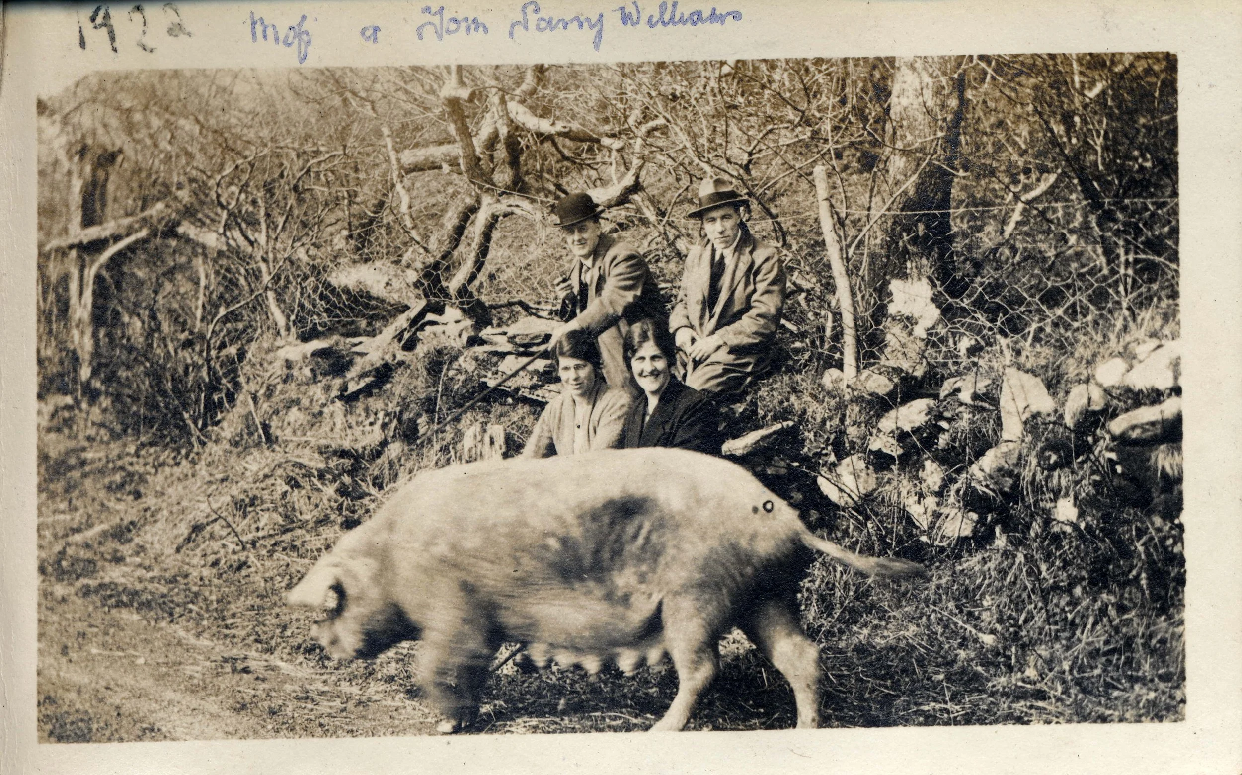 With a farm pig, 1922, with poet TH Parry Williams. 