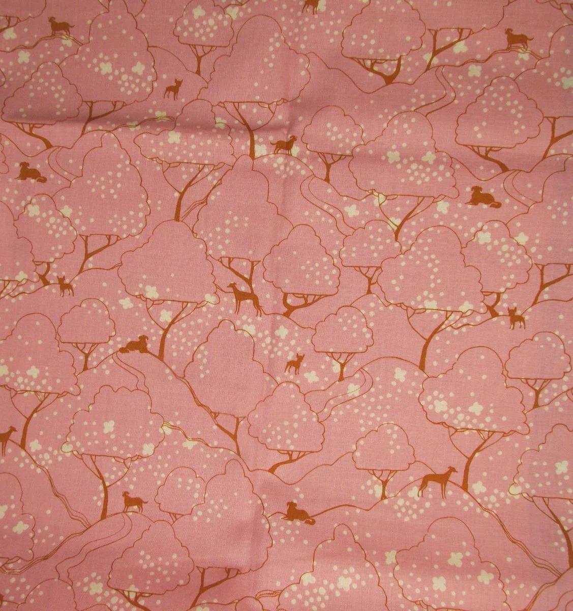 Ruby Star Dog Park in Pink
