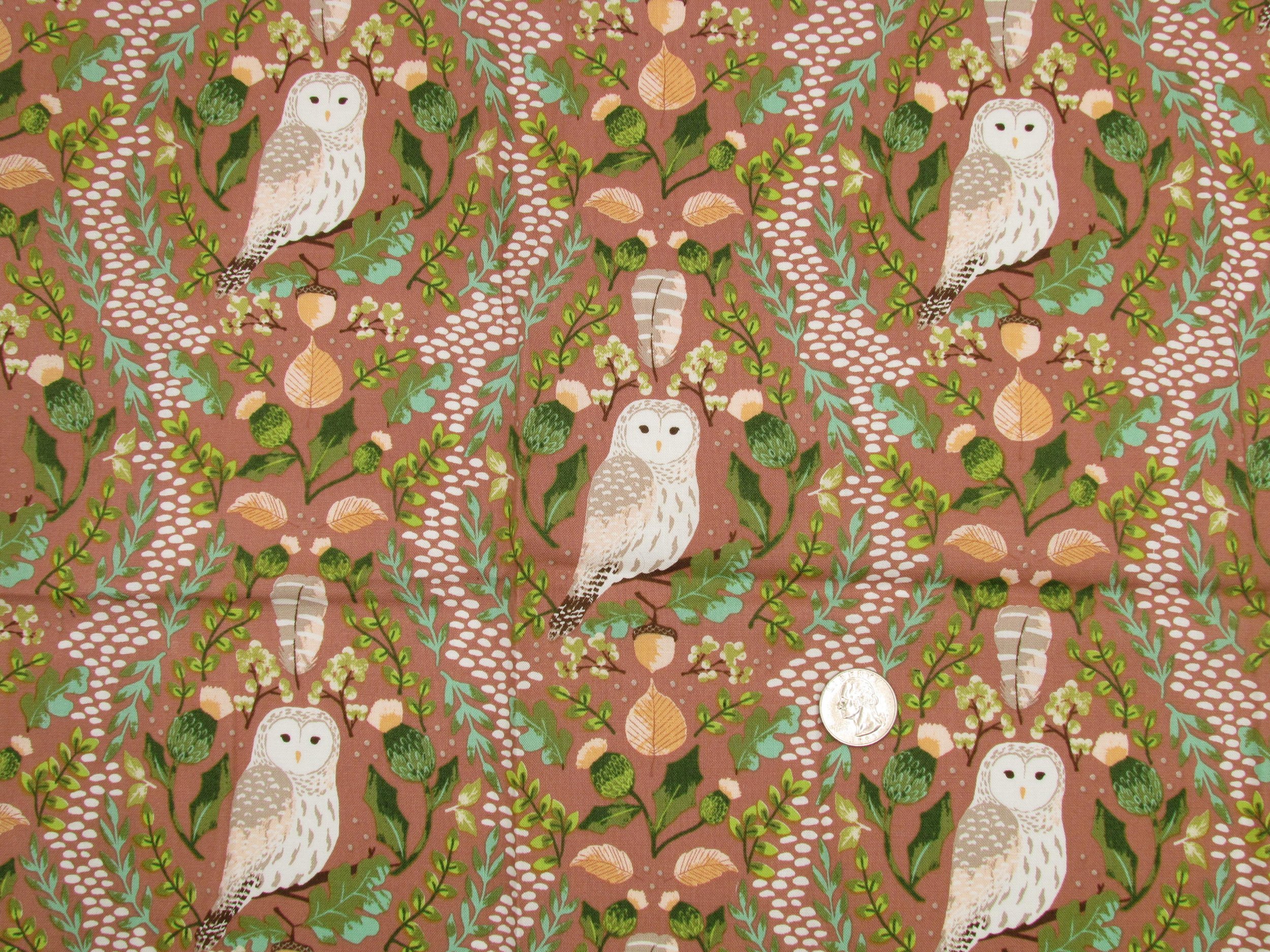 Riley Blake Wildwood Wander Hidden Owl in Rose