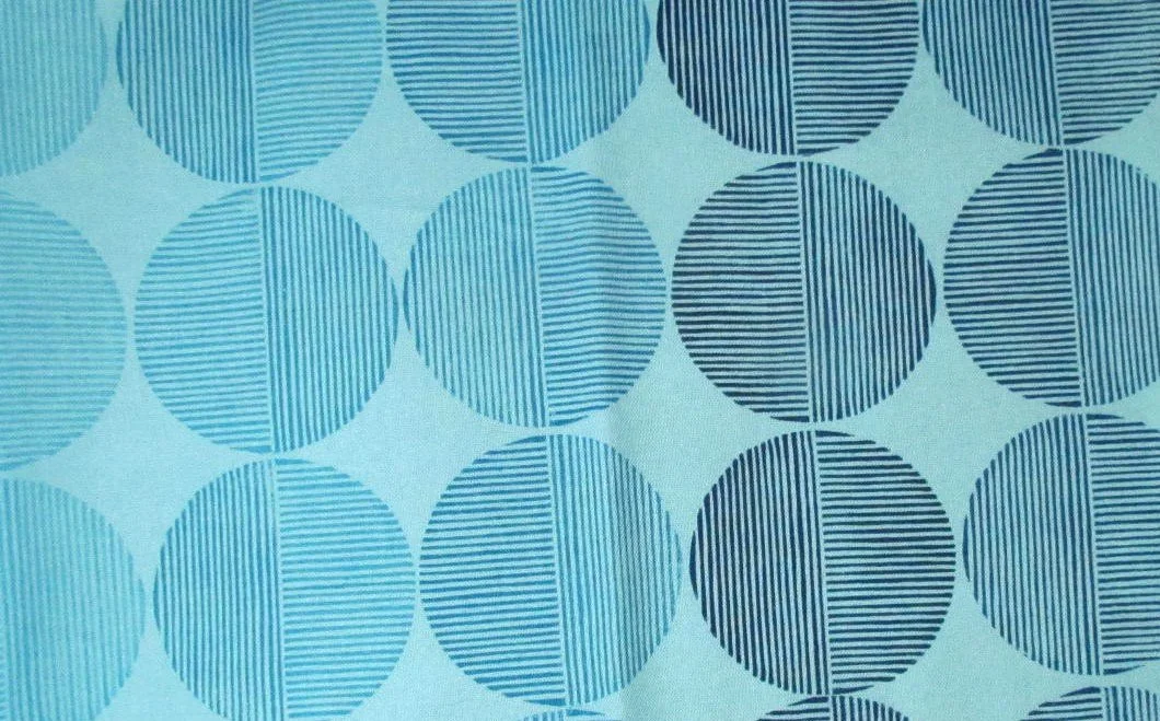 Cyclone Embroidery by Thibaut Aqua Background with Blue Striped circles