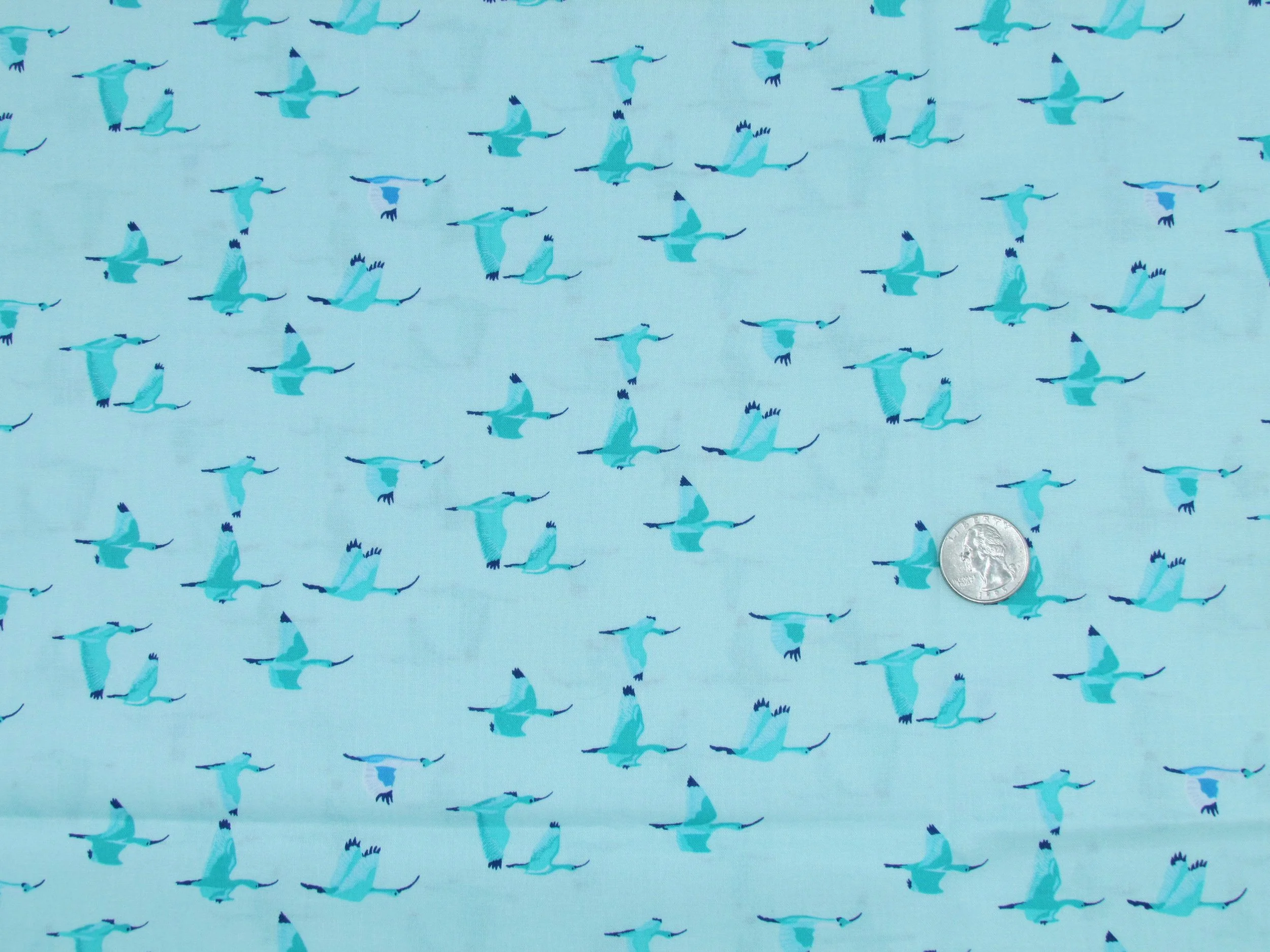 Windham Tabanca Caroni in Aqua