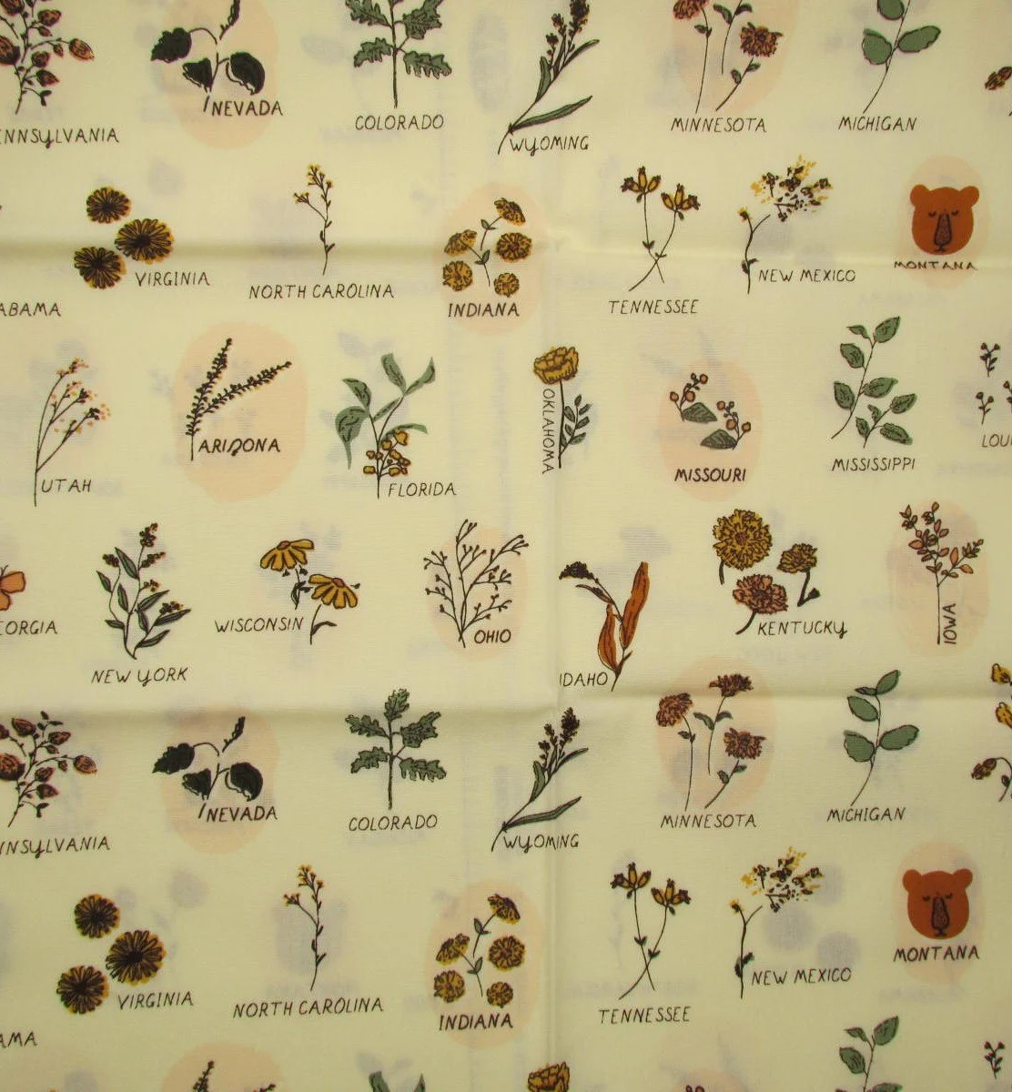 Art Gallery Prairie Edition State Flowers on Cream