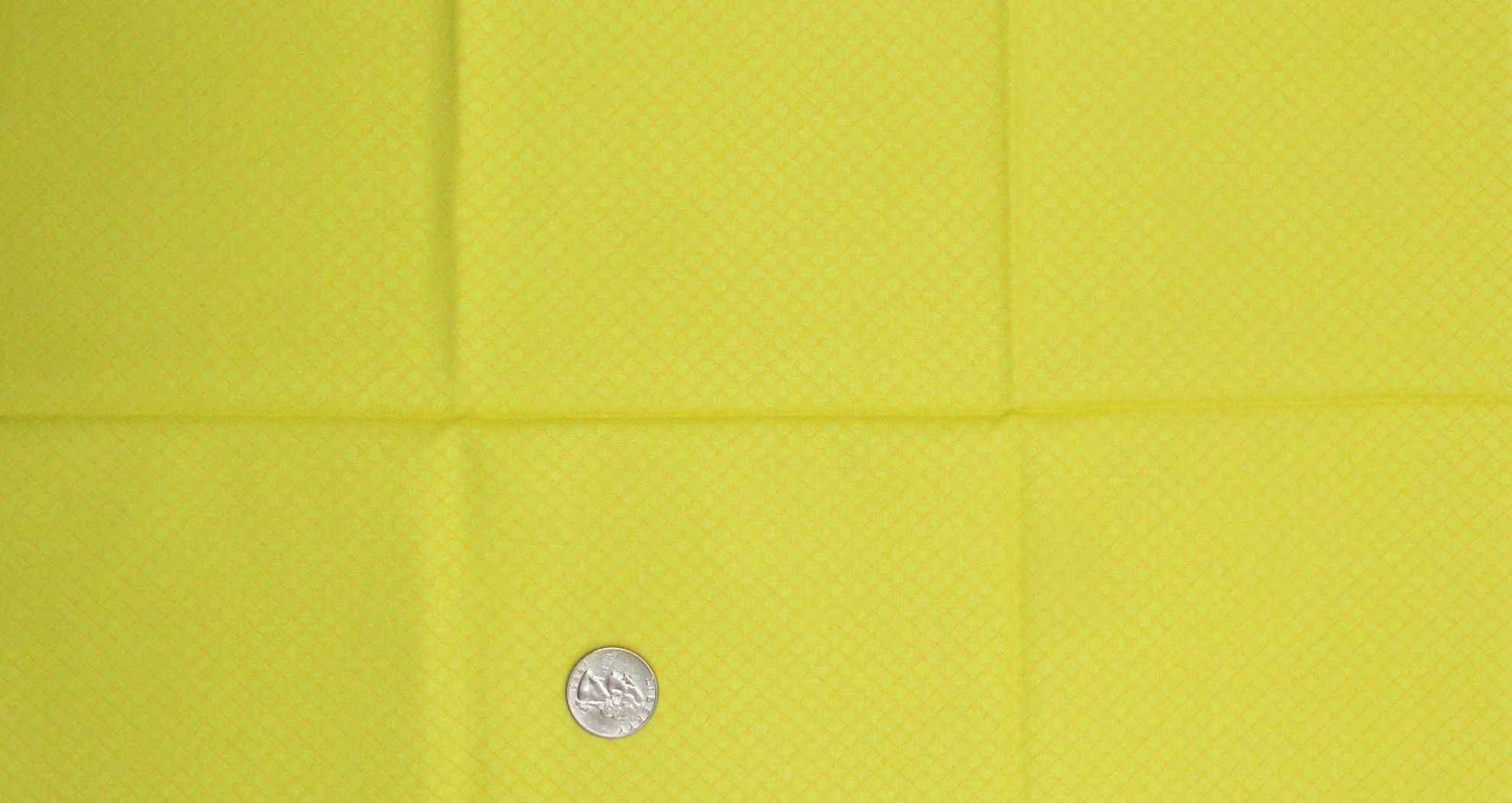 Tula PInk On the Grid in Highlighter Yellow