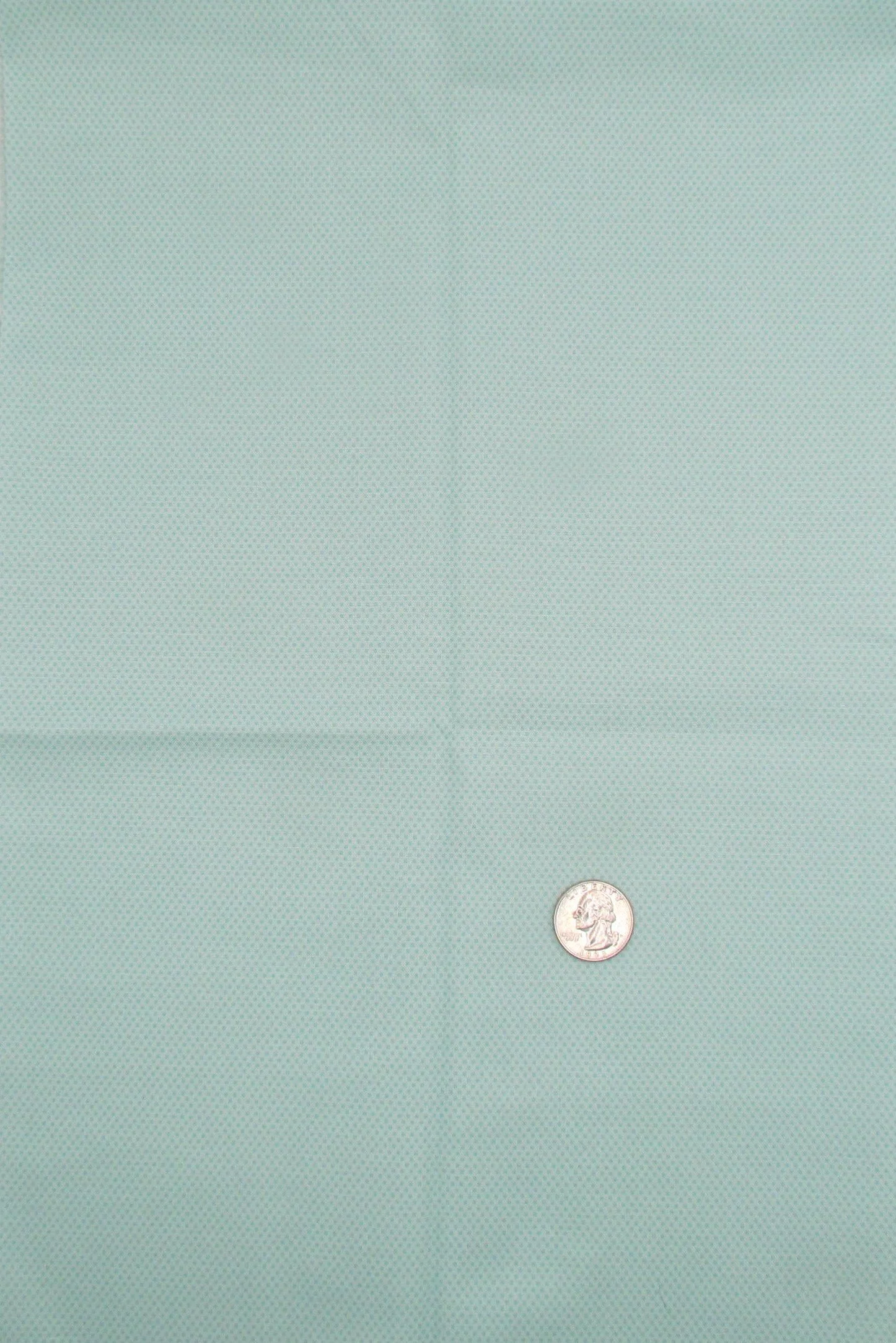 Riley Blake Poparazzi Microdots in Mint