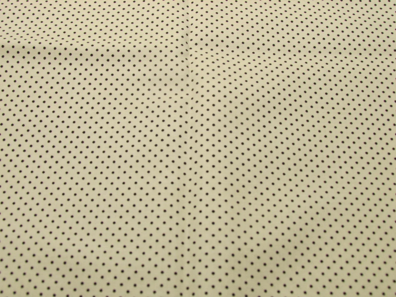 Ruby Star Right on the Dot in Black and White