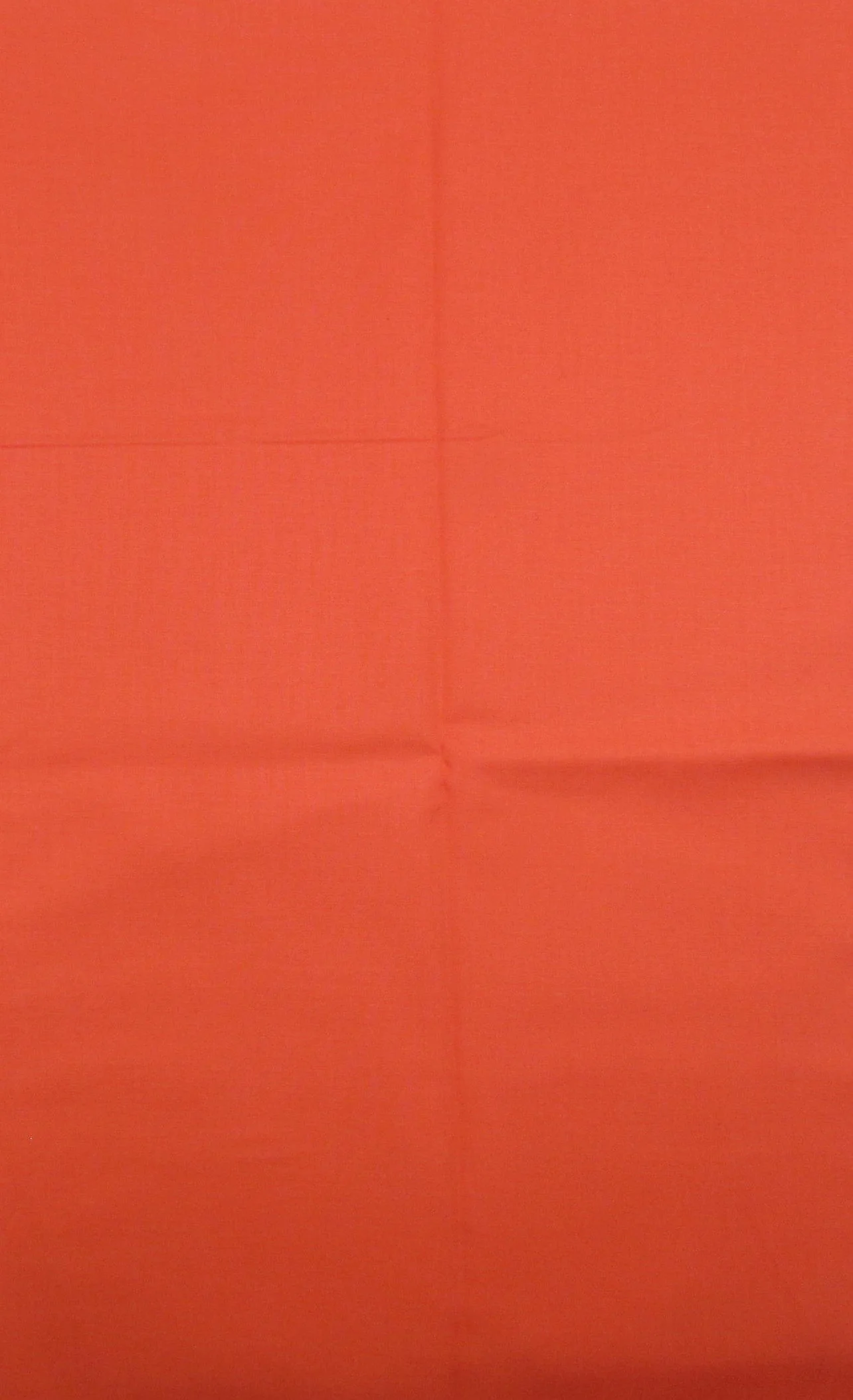 Ruby Bee Solids Delphinium