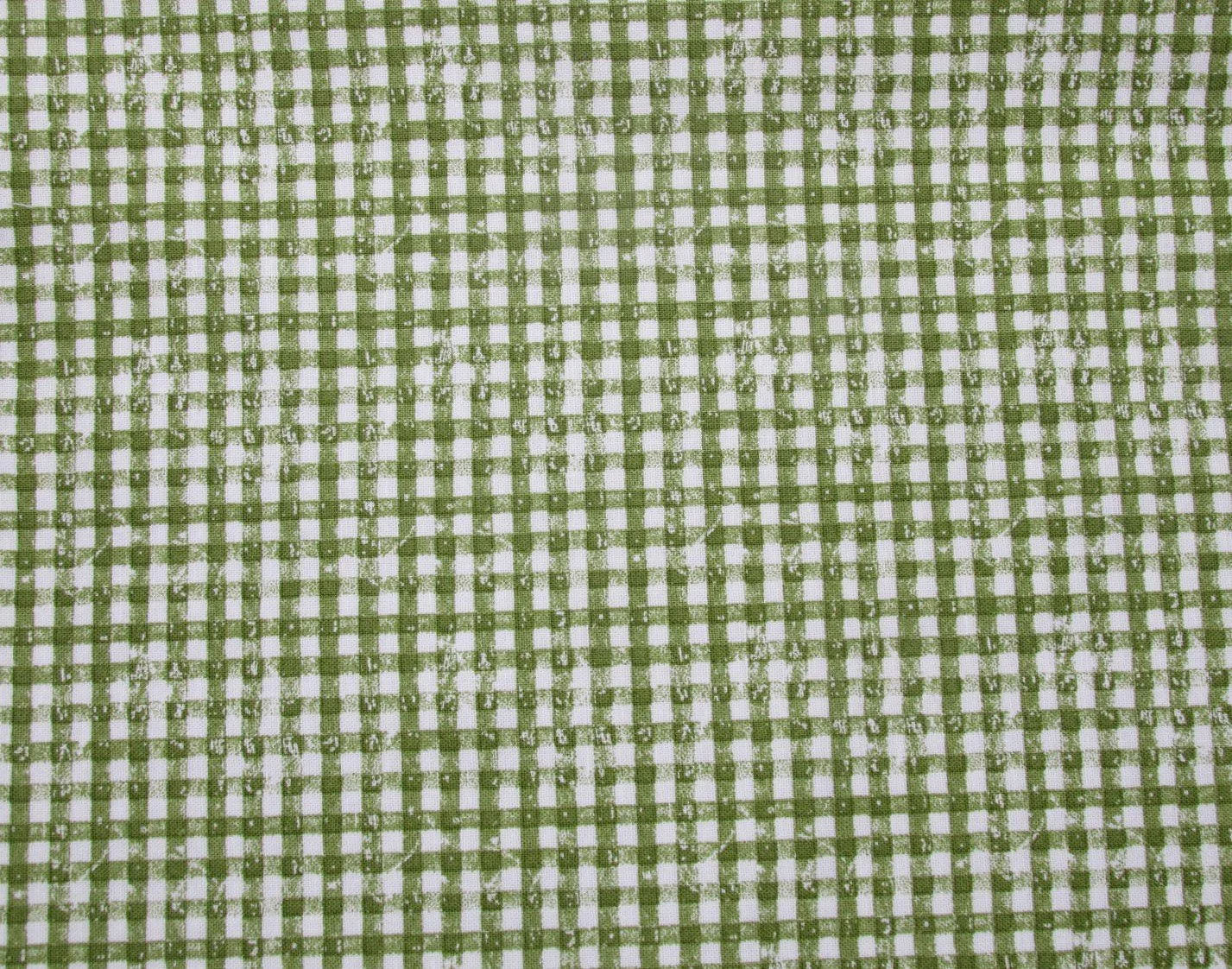 J. Wecker Frisch Gingerbread Green and White Gingham
