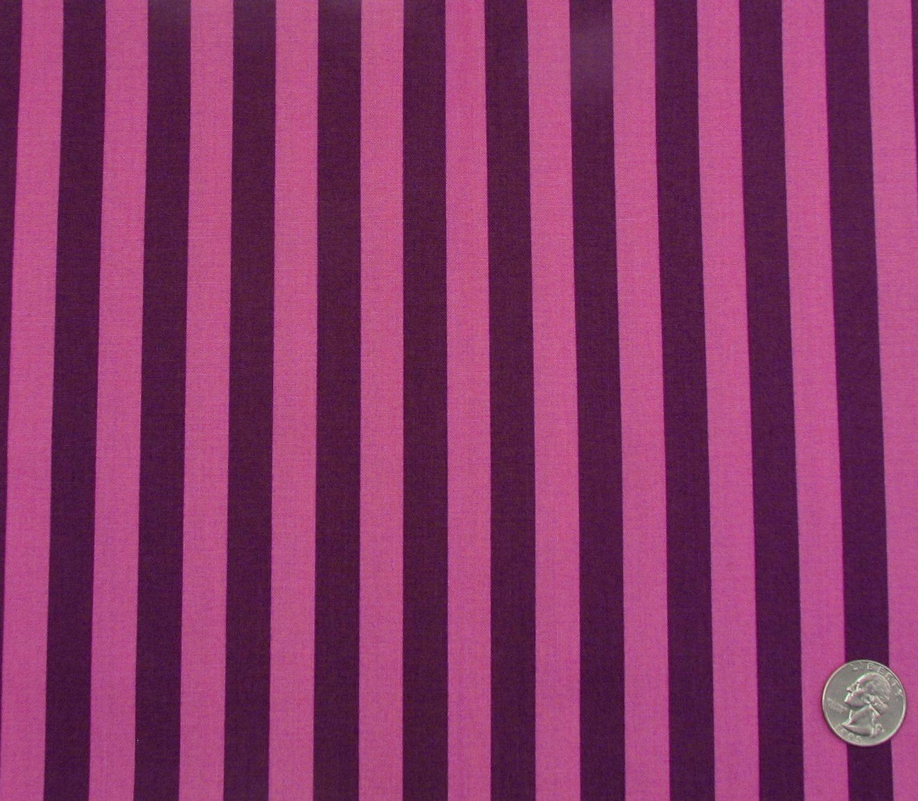 Tula True Colors Tent Stripe in Foxglove