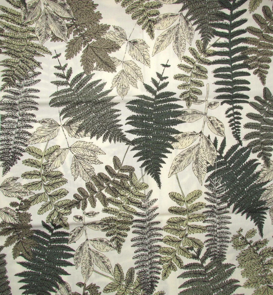 Art Gallery Prairie Edition Botanicals on Cream