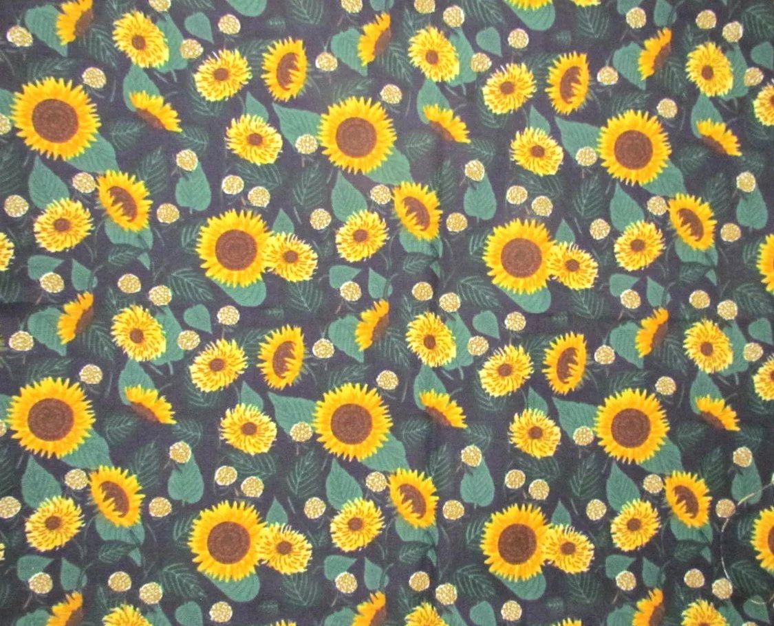 Rifle Paper Co Curio Sunflower Fields in Black