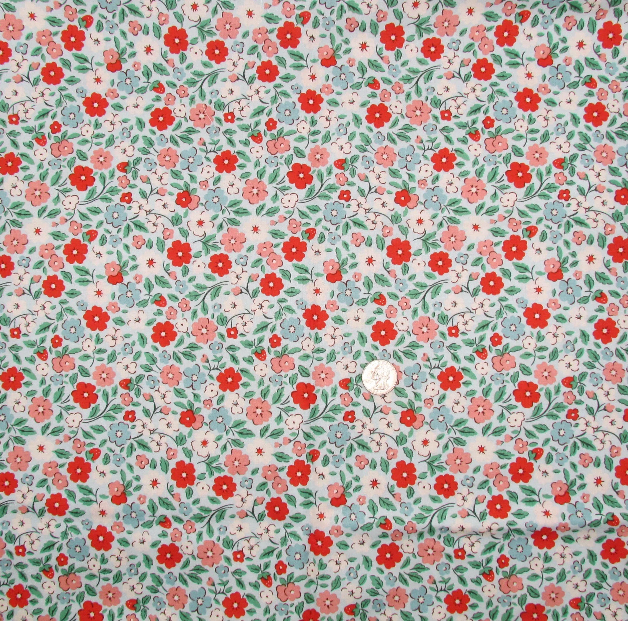 Poppie Cotton Farmhouse Fancy Country Flowers in Teal