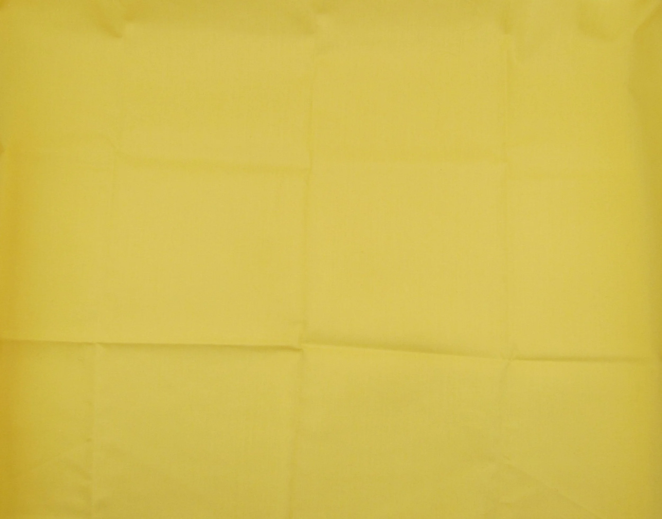 Solid Pale Yellow