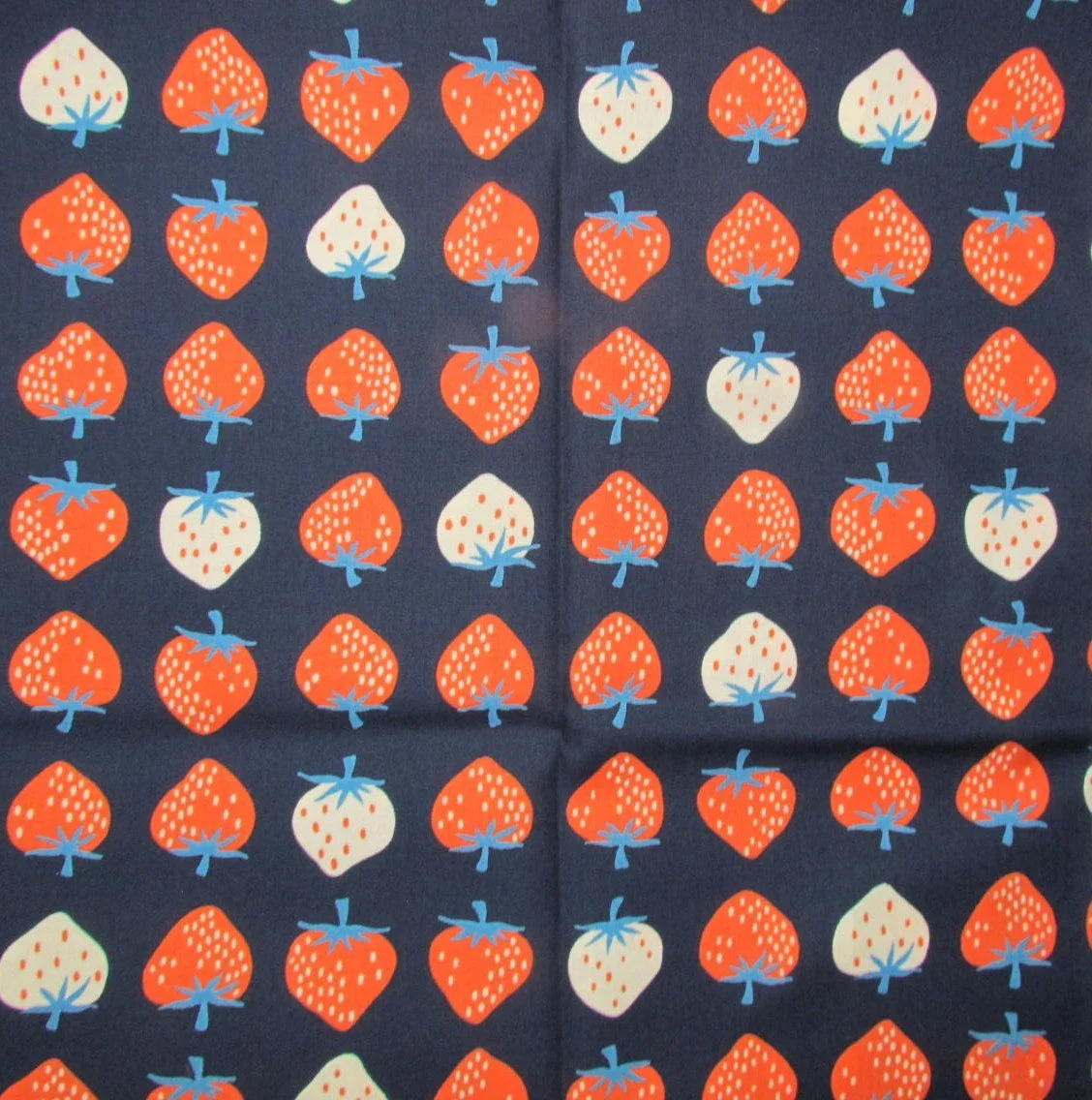 Ruby Star Red and White Strawberries on Navy