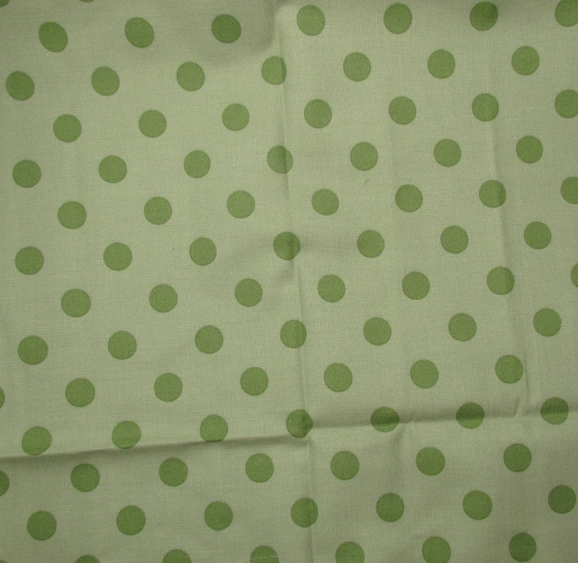 Andover Polka Dot in Green