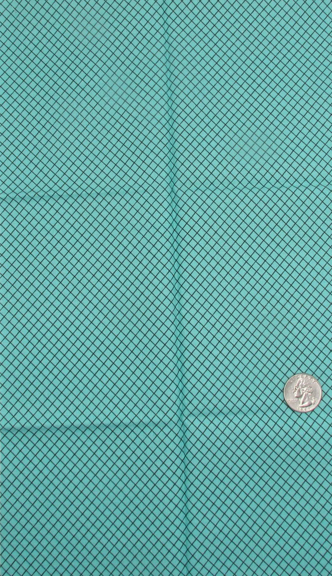 Tula Pink On the Grid in Teal (Black Grid)