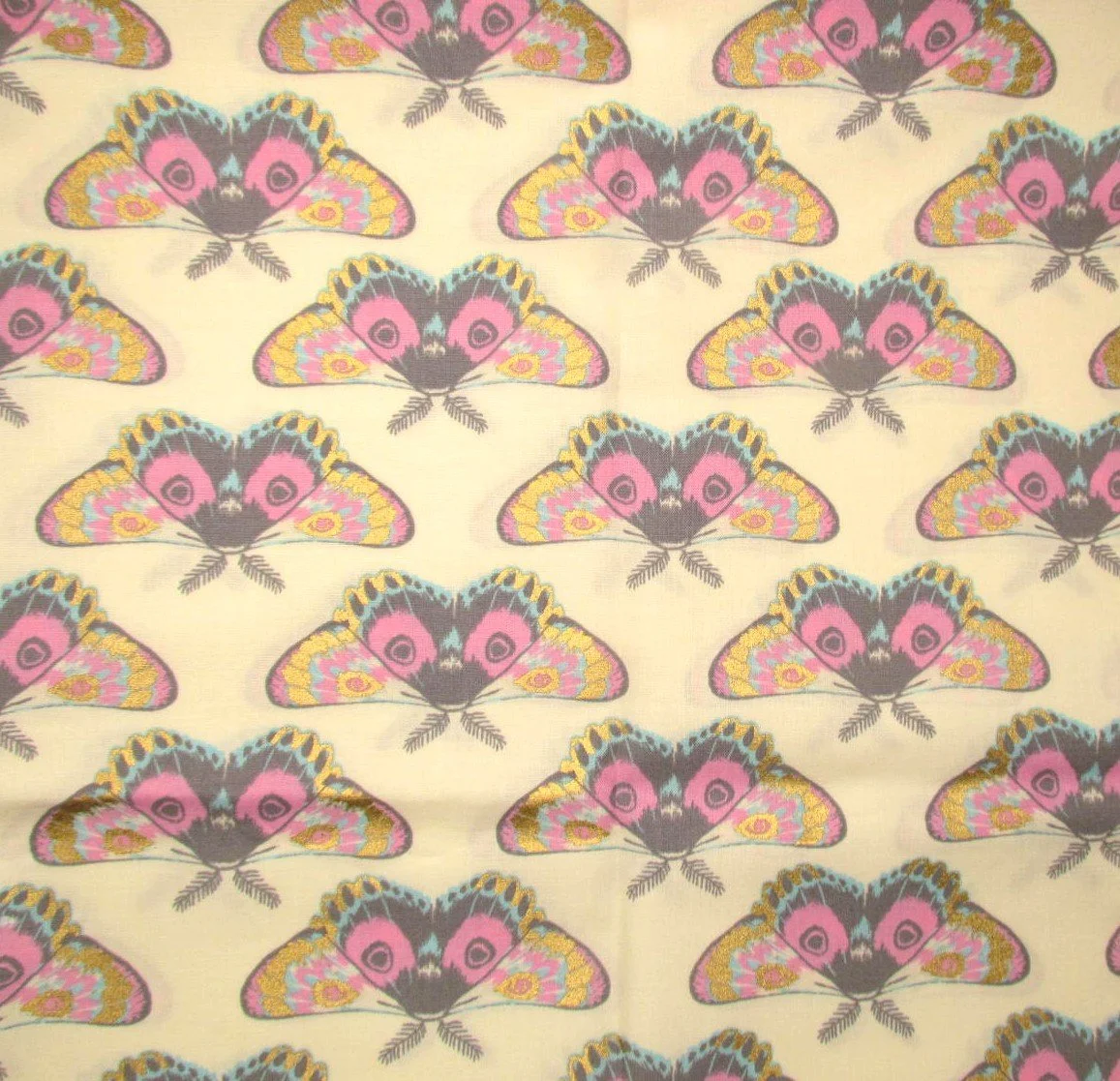 Ruby Star Glow Moth in Buttercream