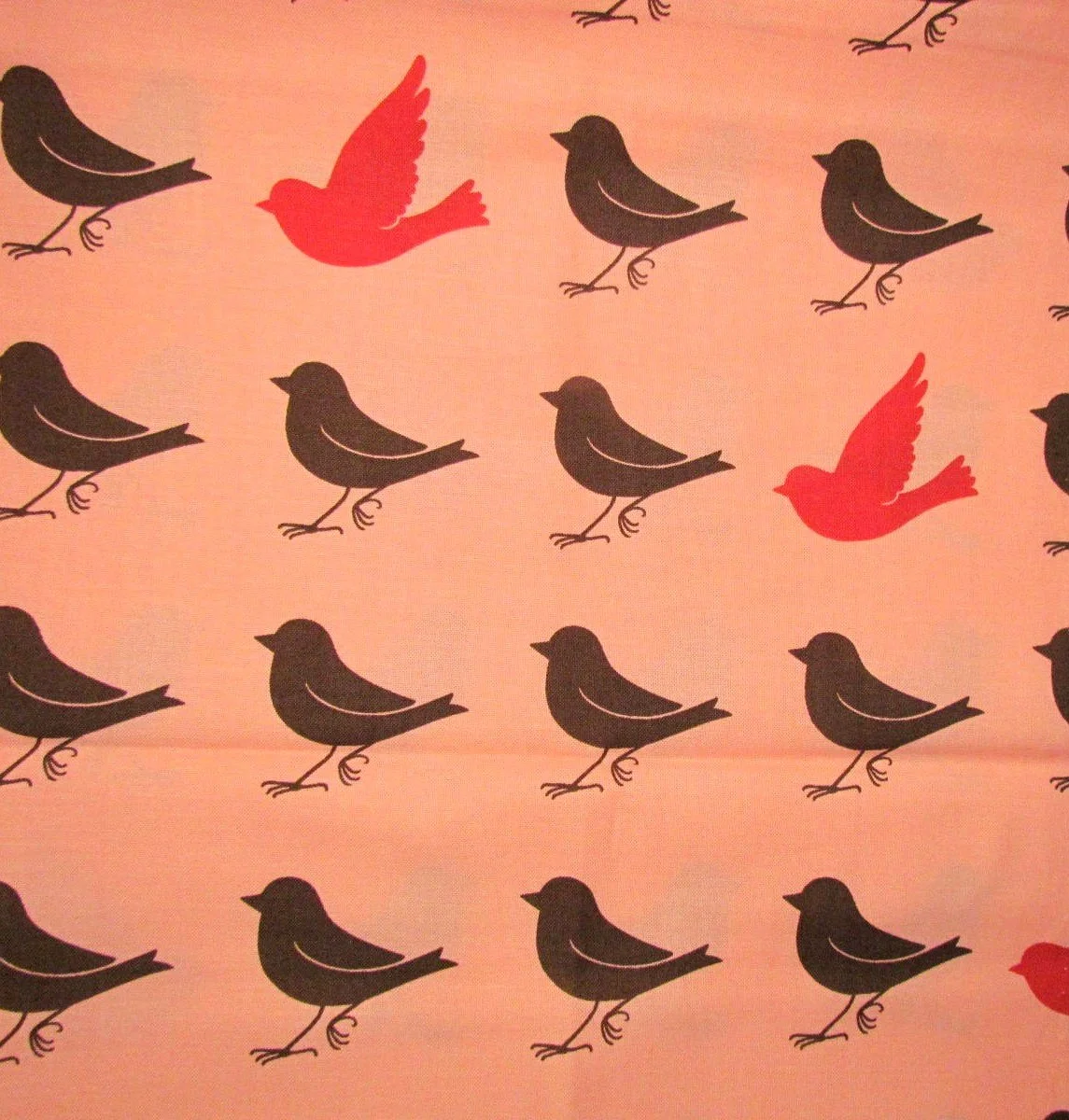 Ruby Star Bird is the Word Dark Gray and Red Birds on Pink
