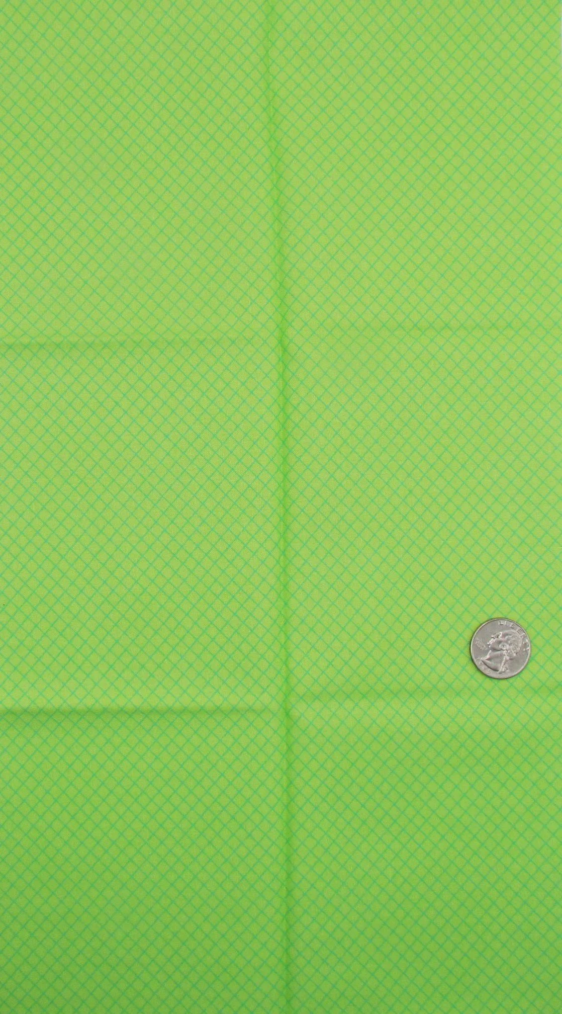 Tula Pink On the Grid in Apple