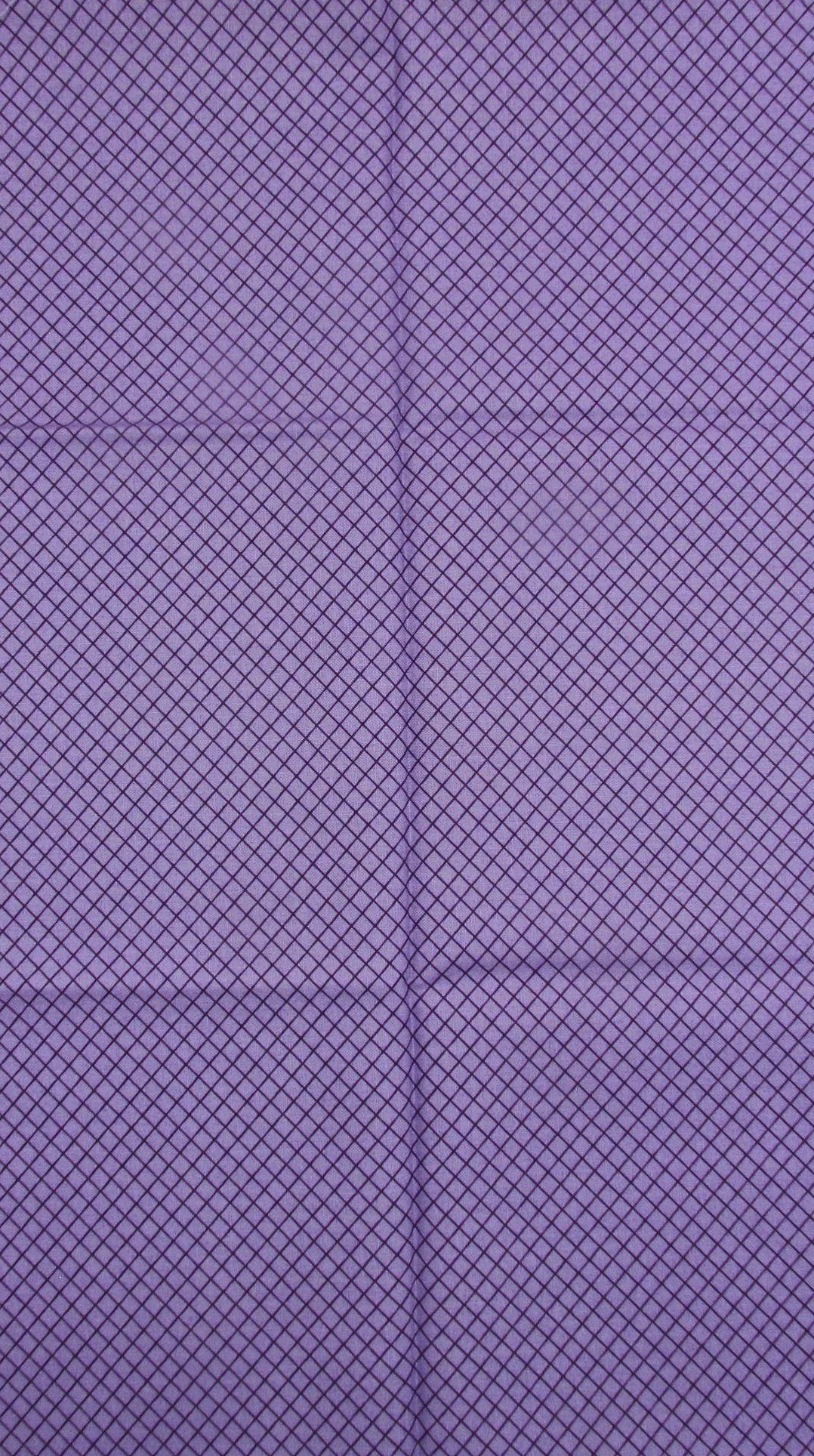 Tula Pink On the Grid in Mysterious Purple
